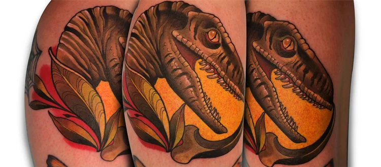 Dermalize Pro All In One Aftercare Solution Black Diamond Tattoo