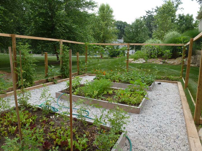 Serre-vegetable garden (1).jpg