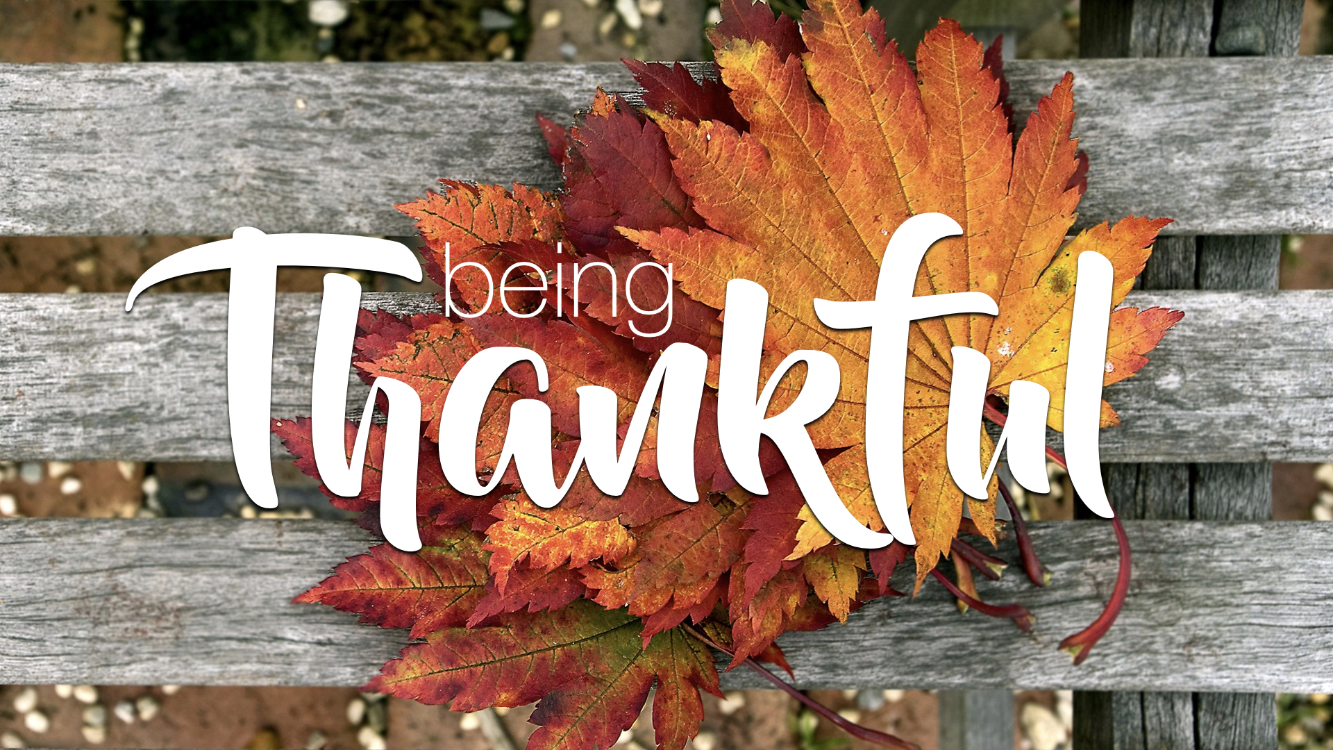 Being Thankful TITLE.jpeg
