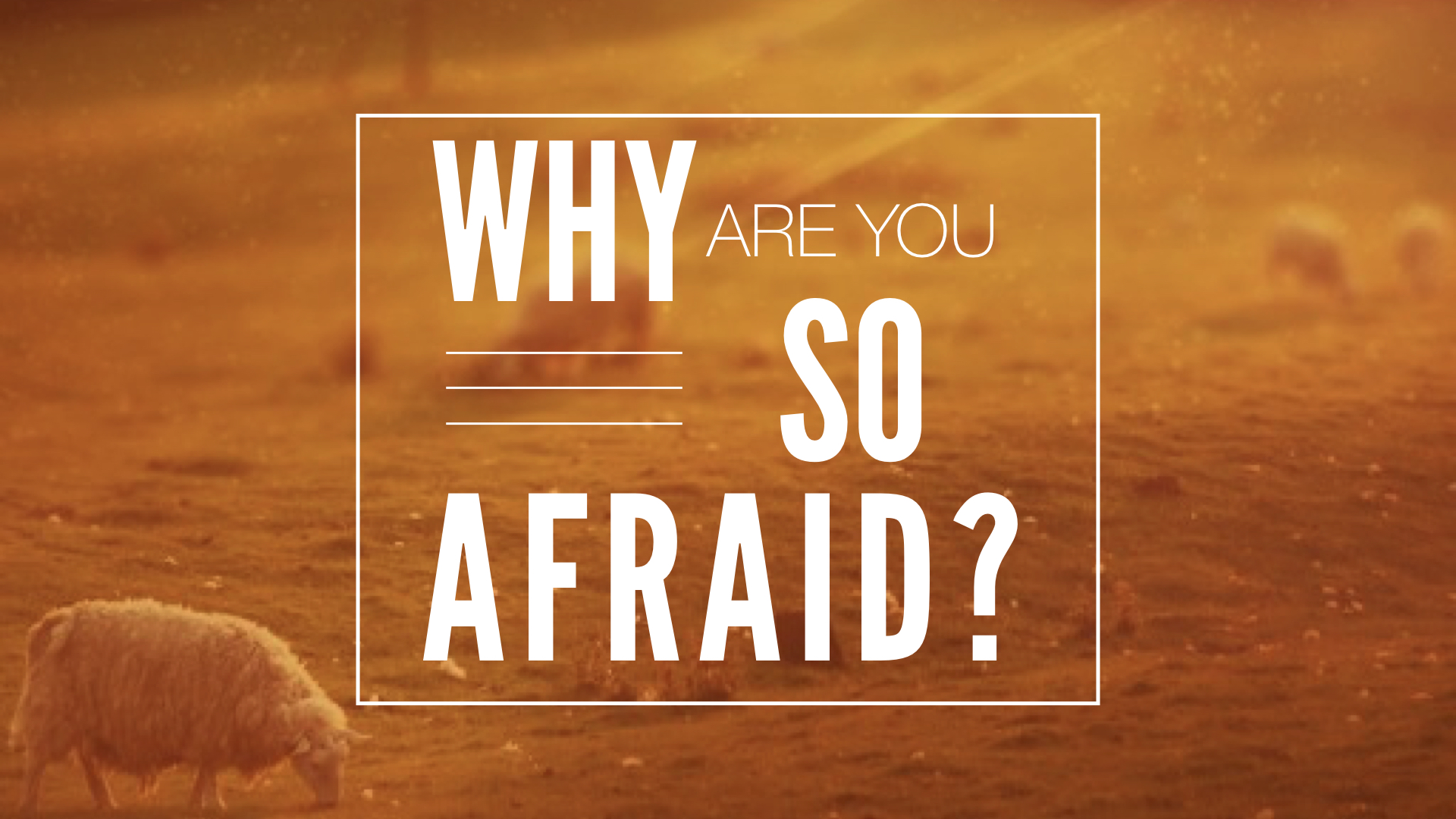 Why Are You So AFraid - TITLE (1).jpeg
