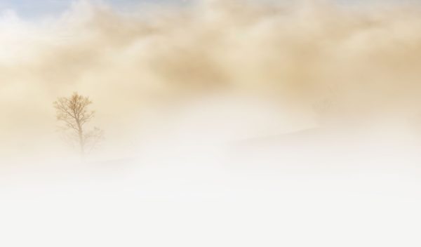 fog-tree-desert-sky-60703-e1516832724780.jpeg