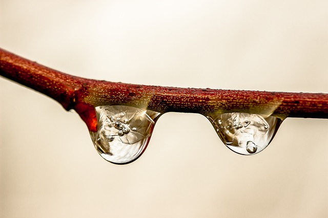 raindrop-1913347_640.jpg
