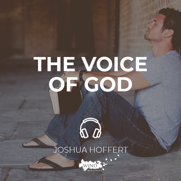 TheVoiceOfGod.png