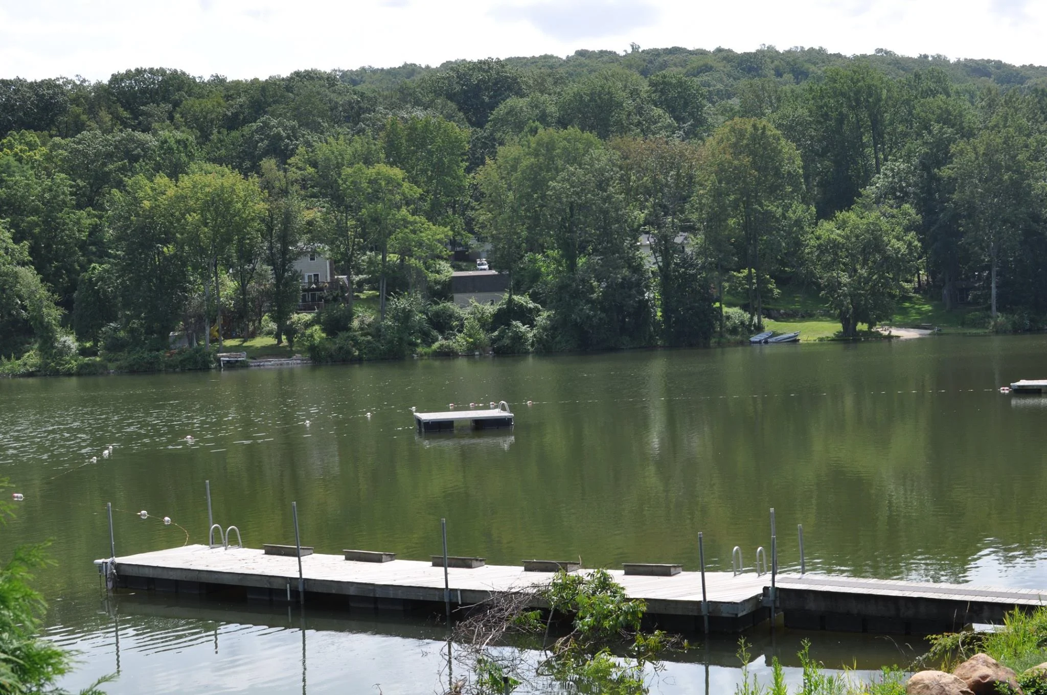Swim Team — Lake Tranquility Community Club