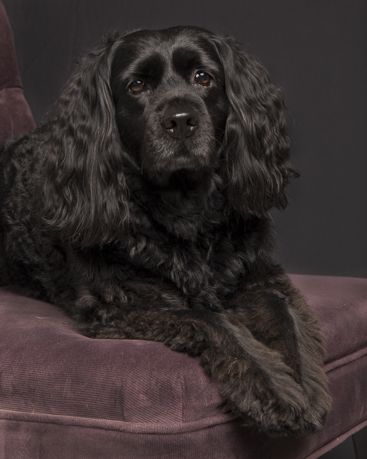 Saskia-2.jpg