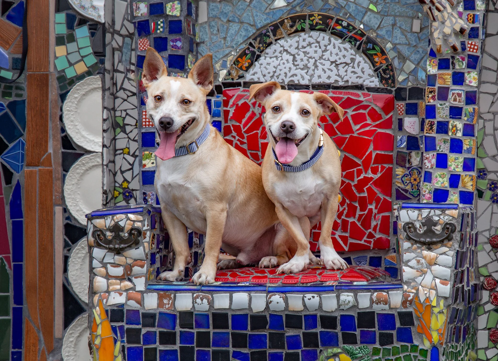 Jackson and Houston posing on the Mosaic Memory Wall