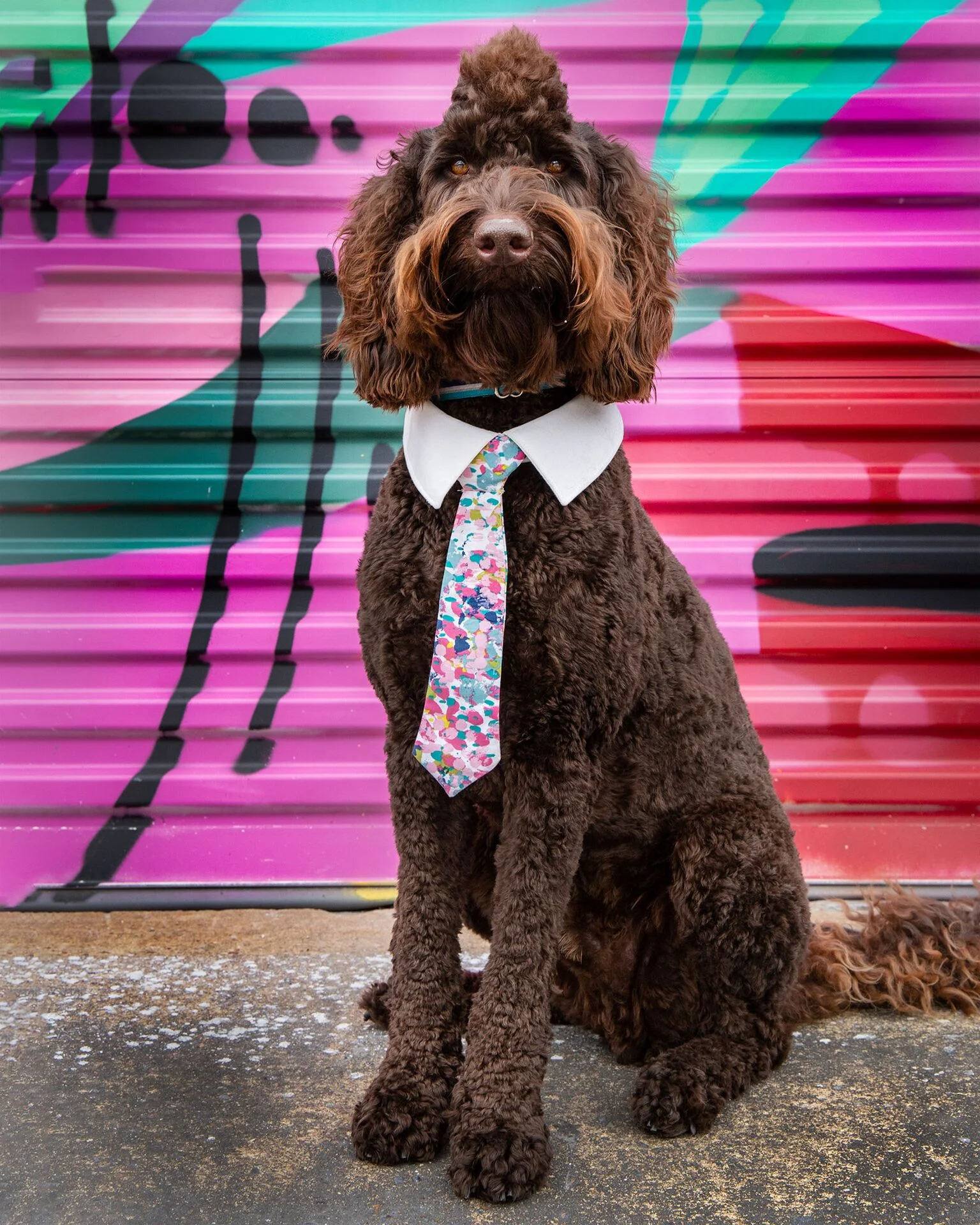 Ford and his Mohawk in front of one of the walls