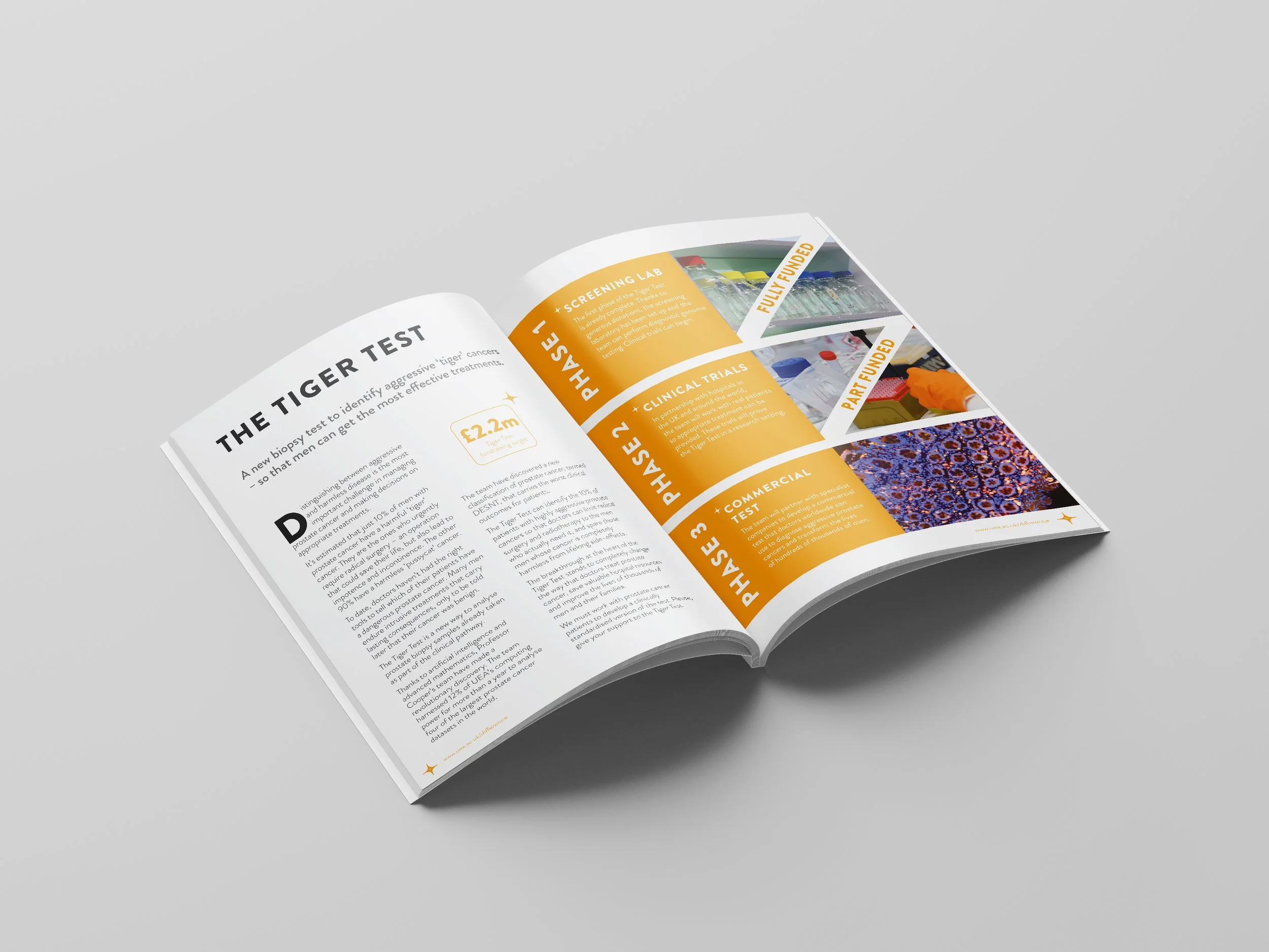 UEA Brochure Prostate Cancer.jpg