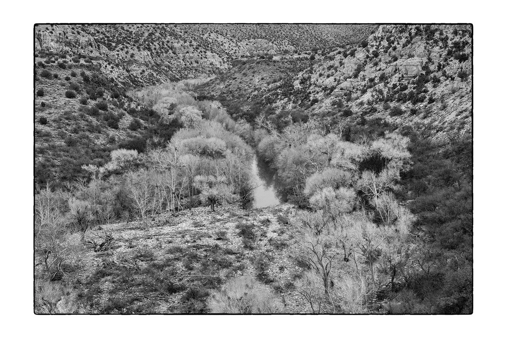 Arizona_03_2019_1734-Edit_4X6-1.jpg