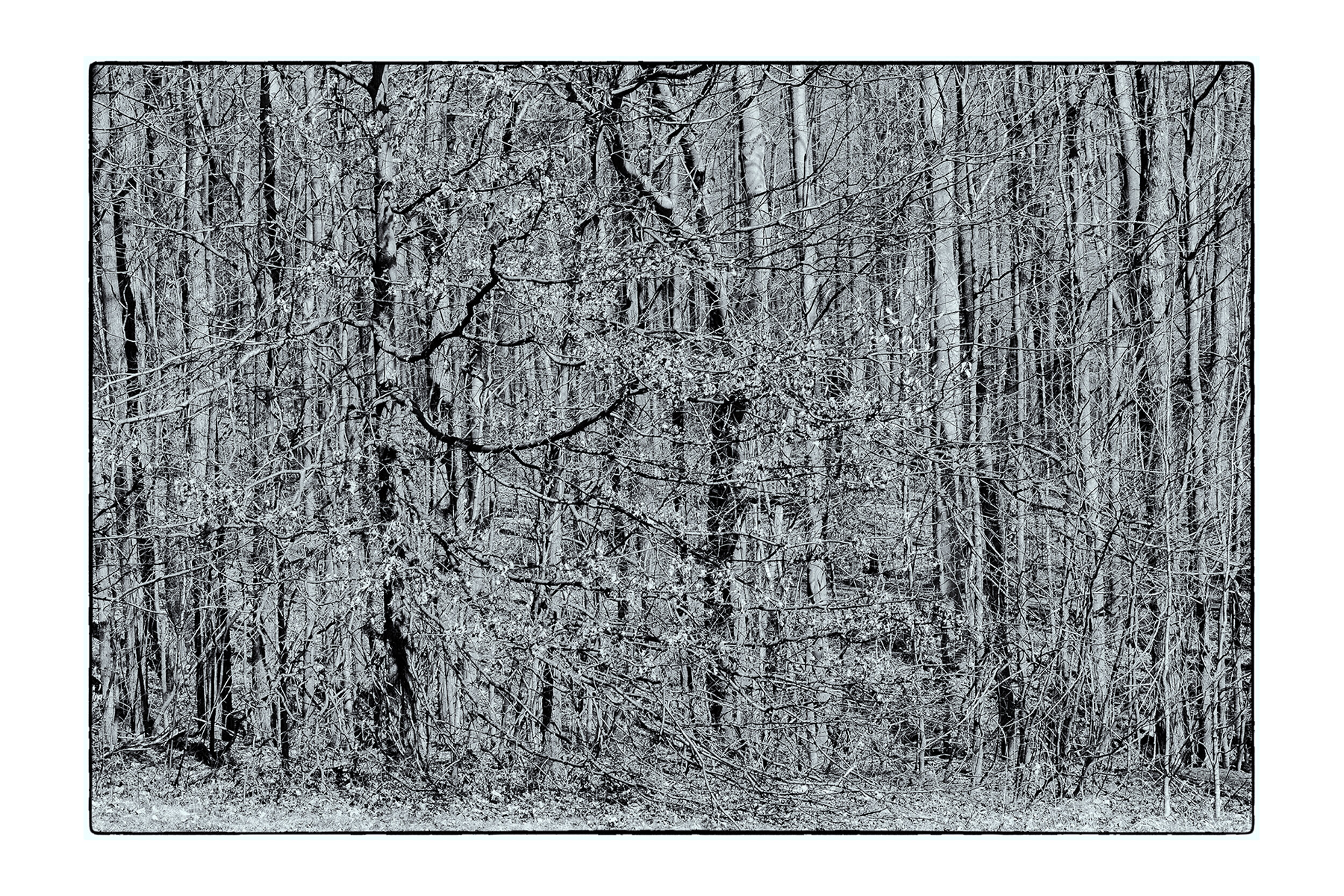 Valley View_031812_0048-Edit_4X6-1.jpg