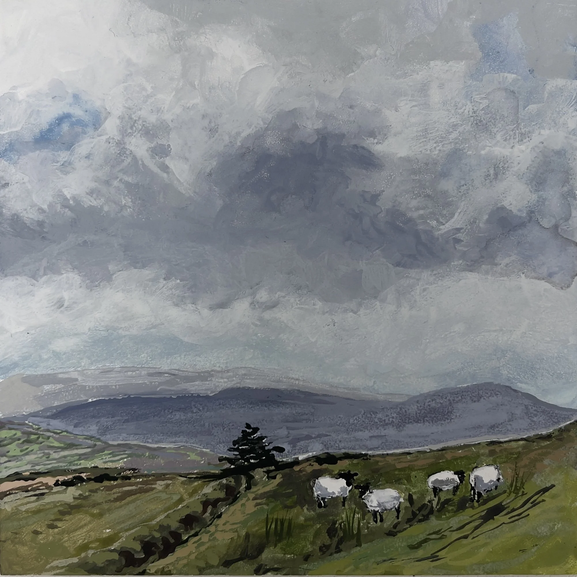 Sheep in Dorset, Spring - 4" x 4" (gouache on panel) - $175