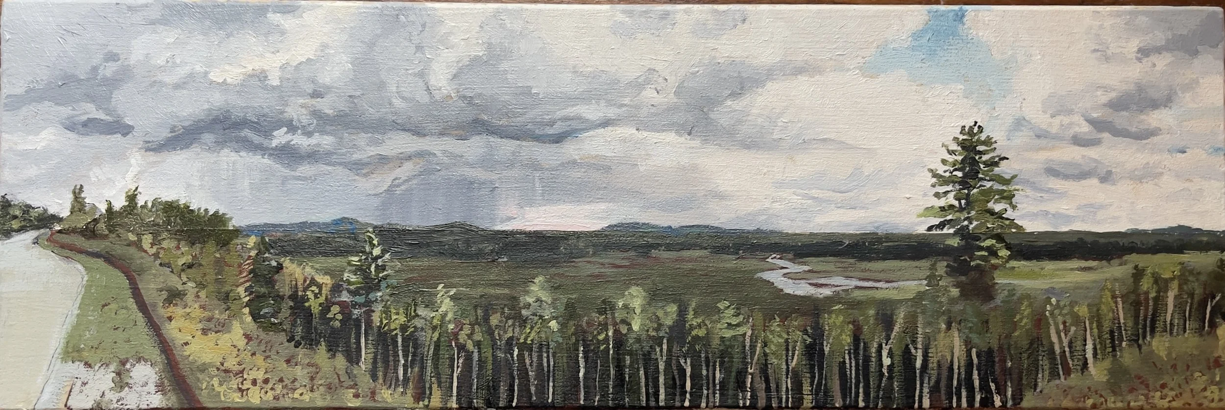 Whalesback - oil on panel - private collection