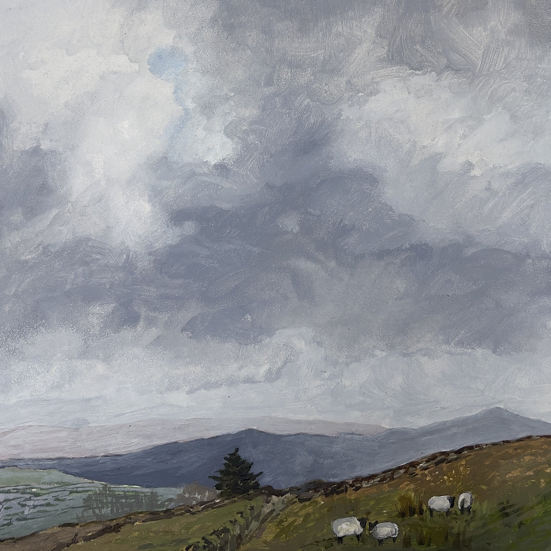 Sheep, Dorset (Spring) - 8" x 8"  (oil on panel) - $275