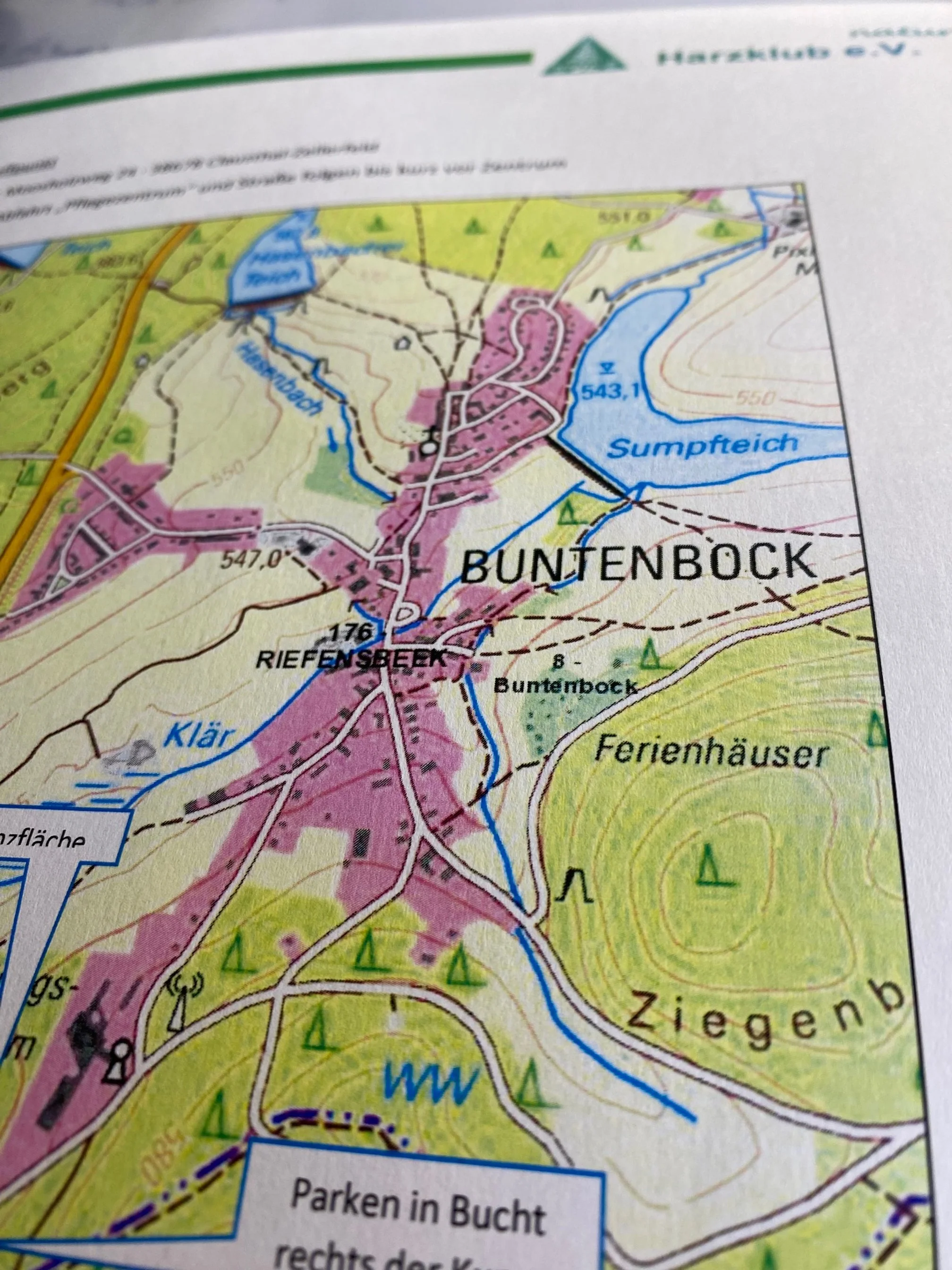 Pflanzaktion Harzklub