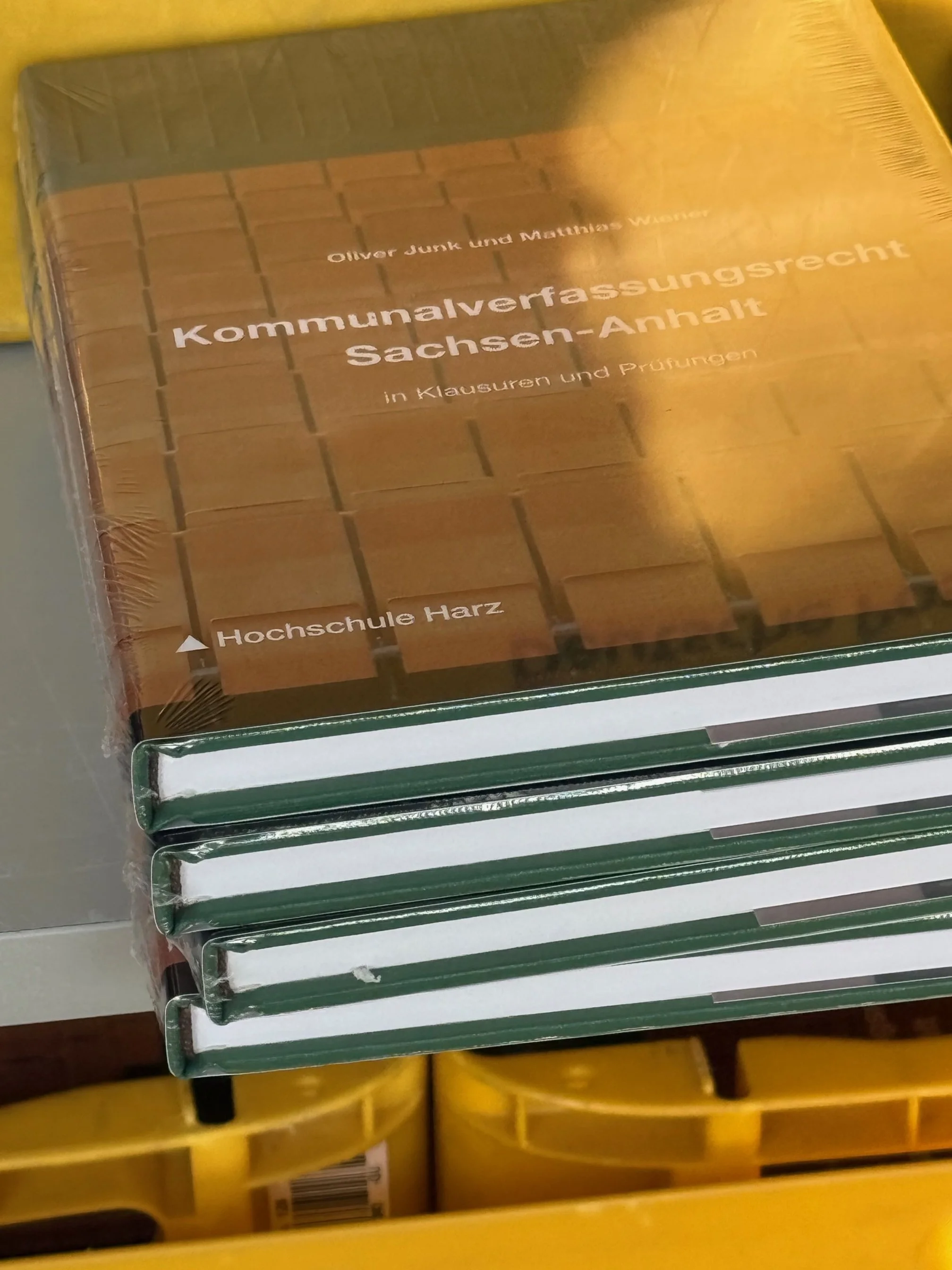 Buchprojekt mit Matthias Wiener