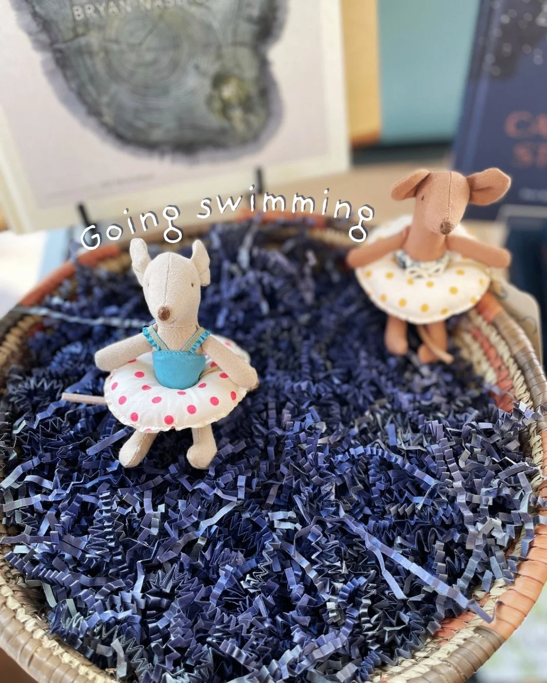Those little mice get into all kinds of mischief! 

From swimming in the pool to dancing recitals, our new @mailegusa mice are ready for summer!