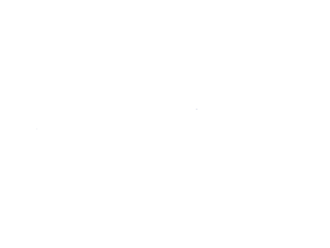 PPR_Logo_White.png