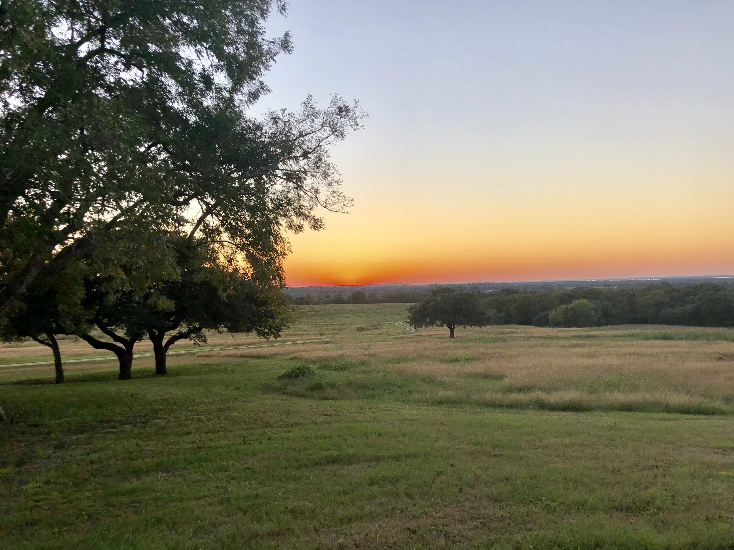 Texas.png
