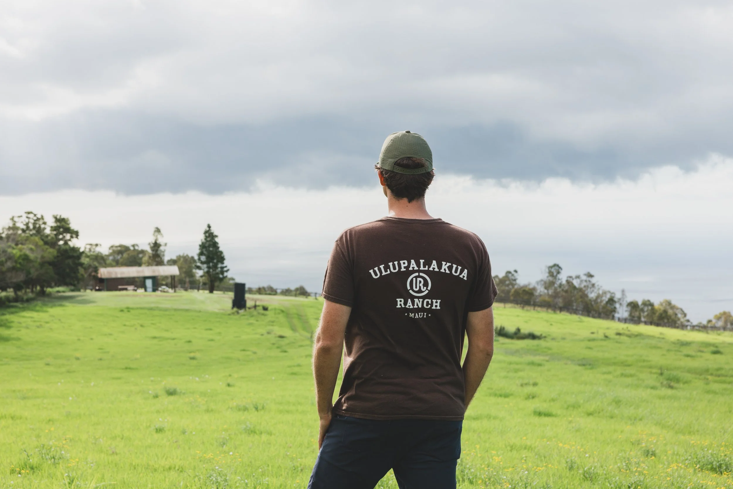 Ulupalakua Muirfield Mauka | Kristy Taylor Photography-4.jpg