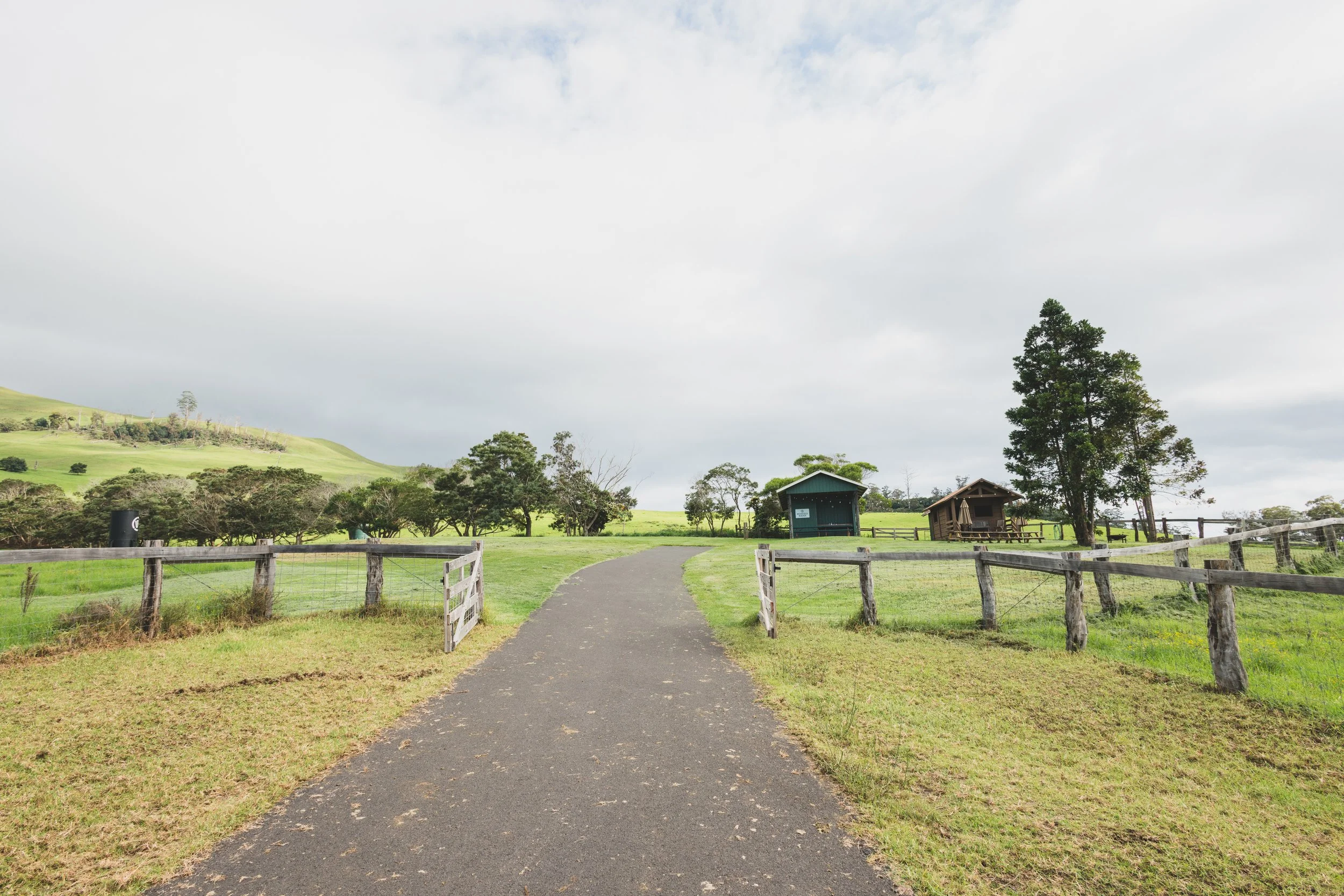 Ulupalakua Muirfield Mauka | Kristy Taylor Photography-3.jpg