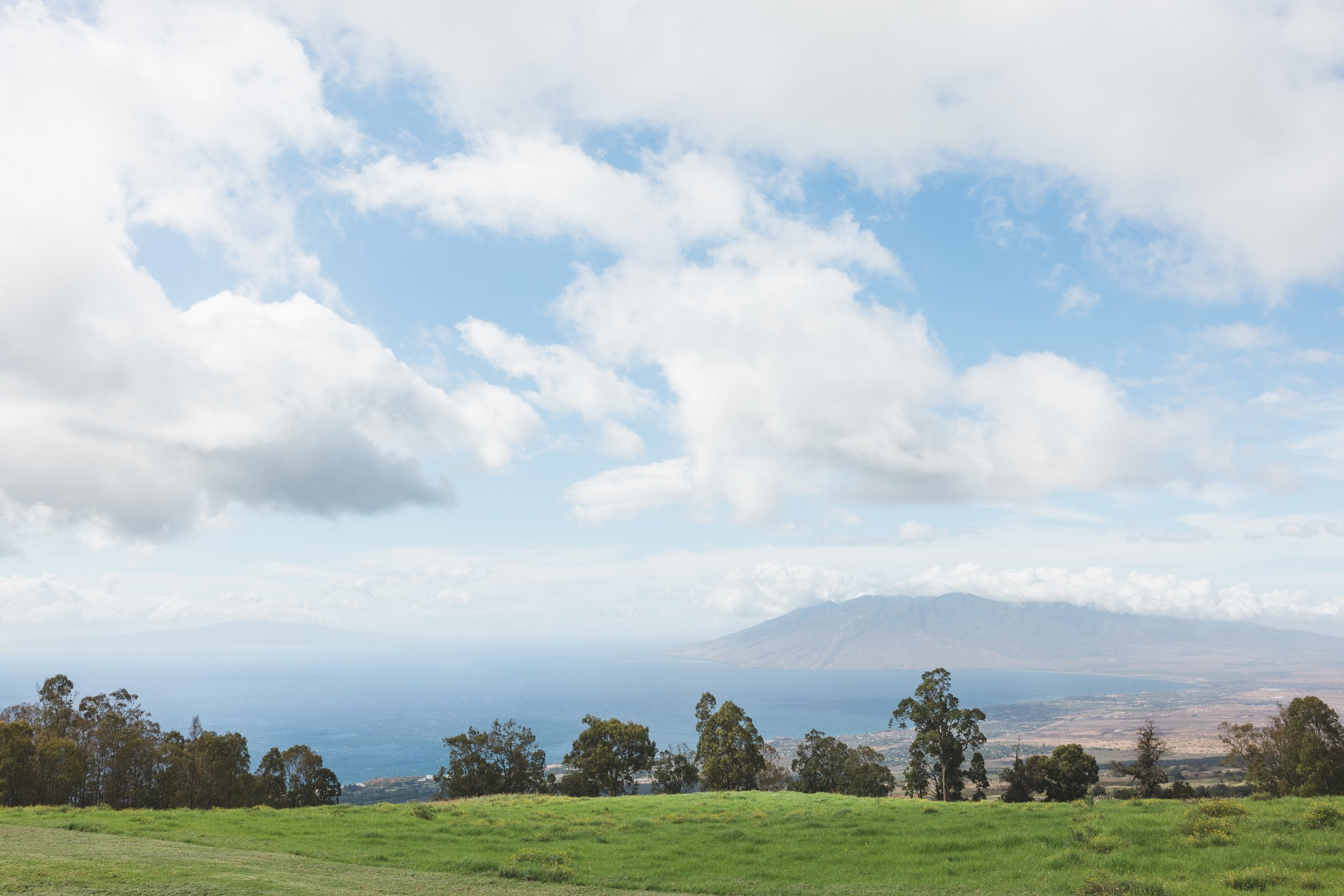 Ulupalakua Muirfield Mauka | Kristy Taylor Photography-6.jpg