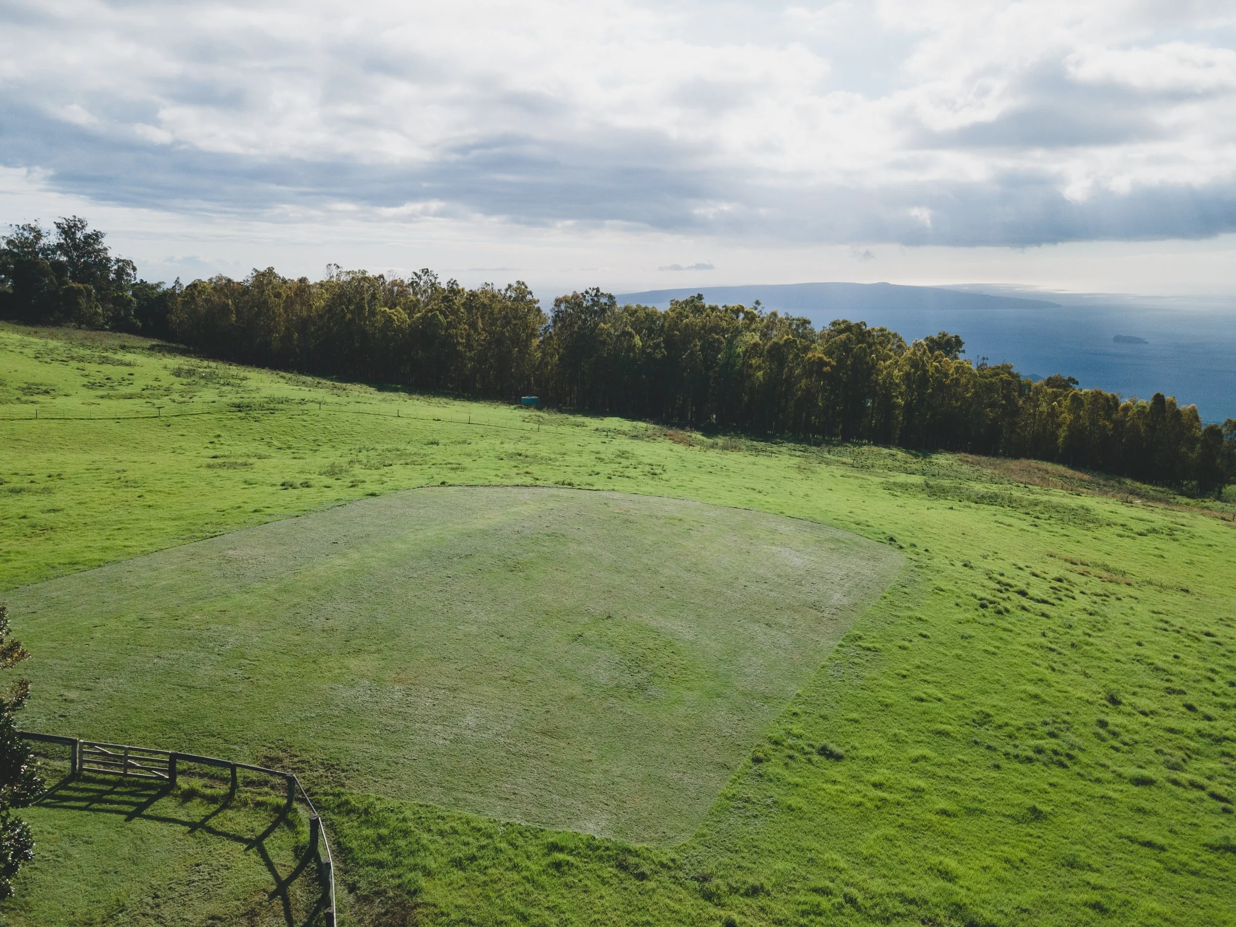 Ulupalakua Muirfield Mauka | Kristy Taylor Photography-7.jpg