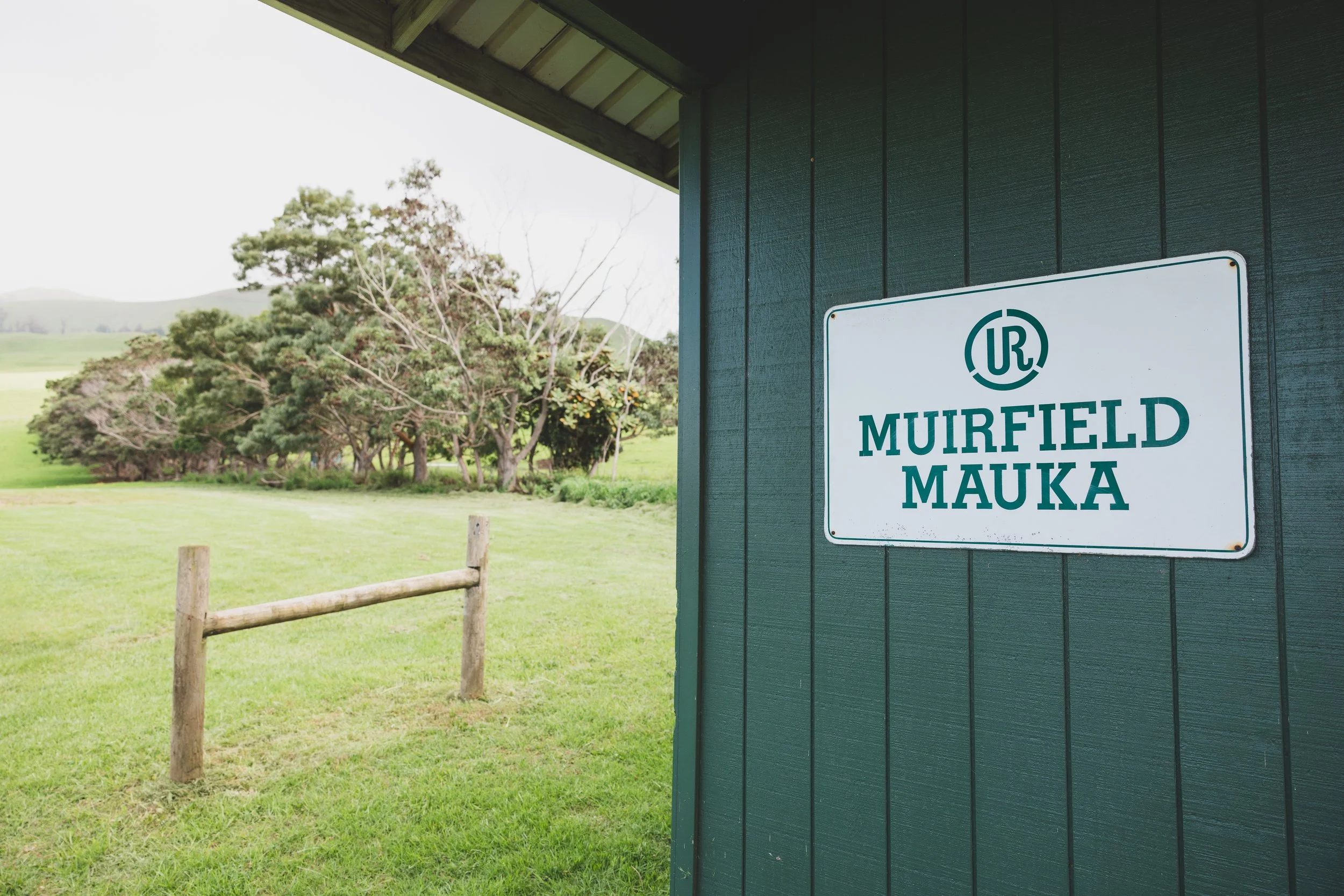 Ulupalakua Muirfield Mauka | Kristy Taylor Photography-10.jpg