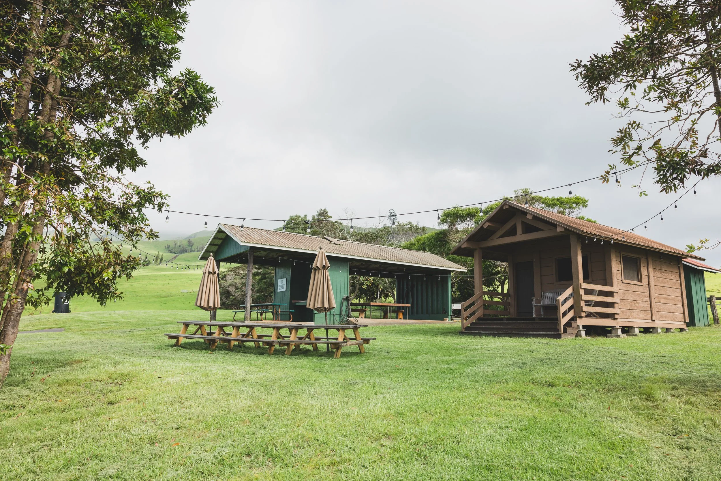 Ulupalakua Muirfield Mauka | Kristy Taylor Photography-9.jpg