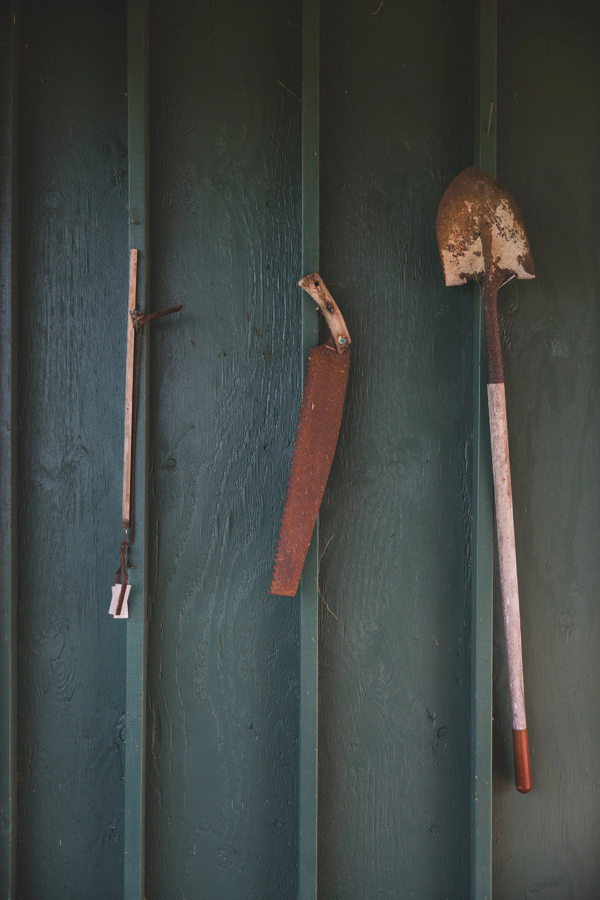 Ulupalakua Muirfield Mauka | Kristy Taylor Photography-12.jpg