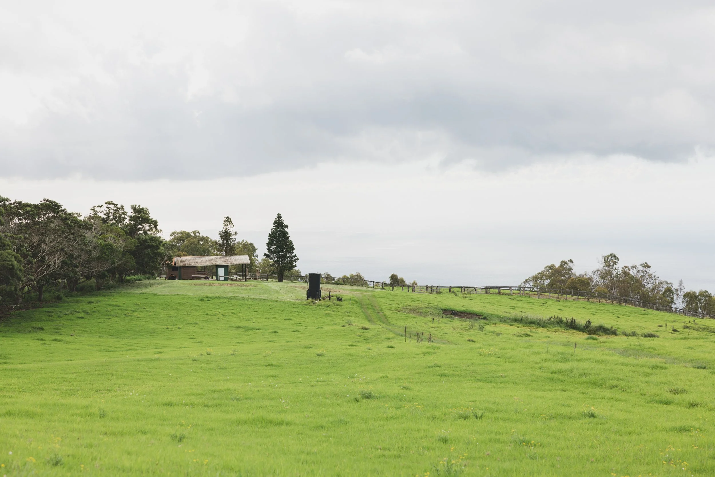Ulupalakua Muirfield Mauka | Kristy Taylor Photography-13.jpg
