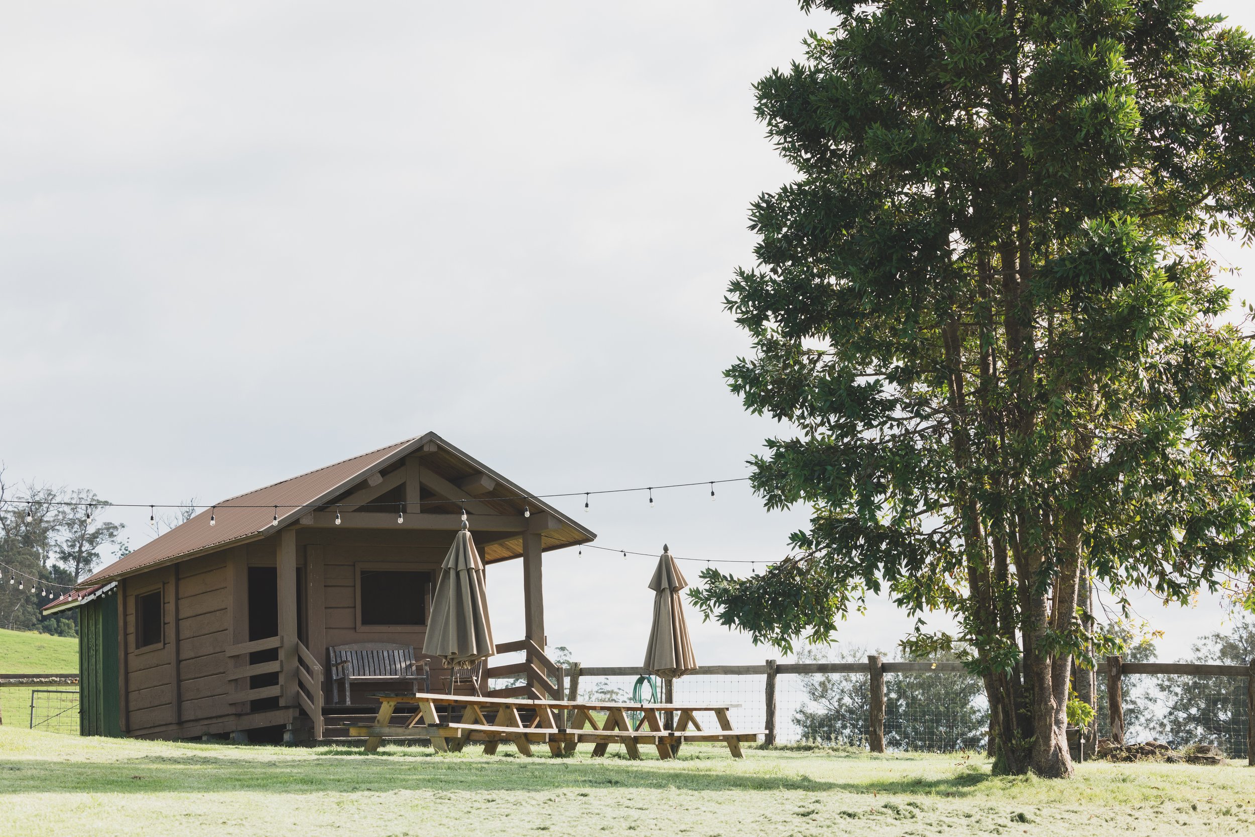 Ulupalakua Muirfield Mauka | Kristy Taylor Photography-16.jpg