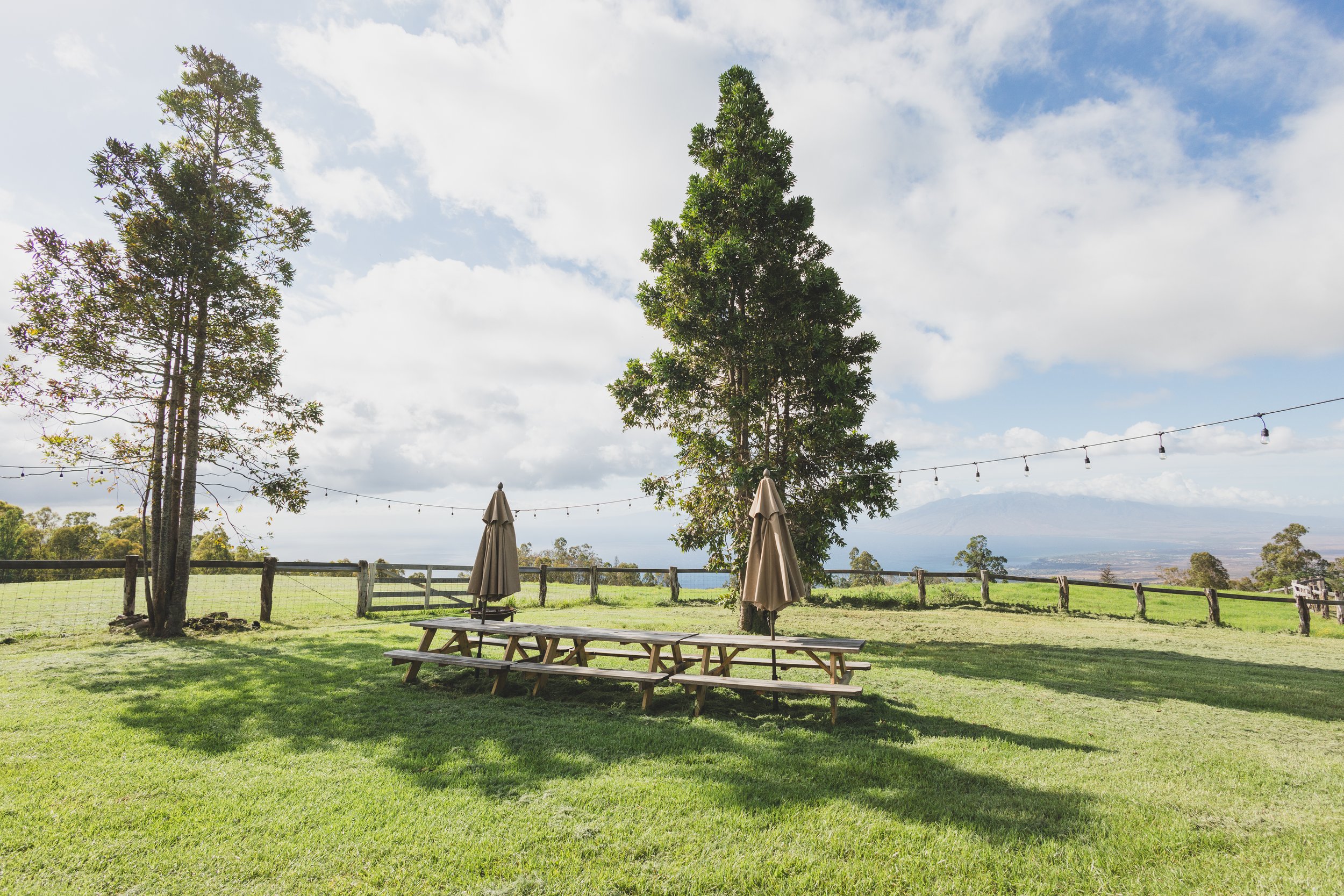 Ulupalakua Muirfield Mauka | Kristy Taylor Photography-22.jpg