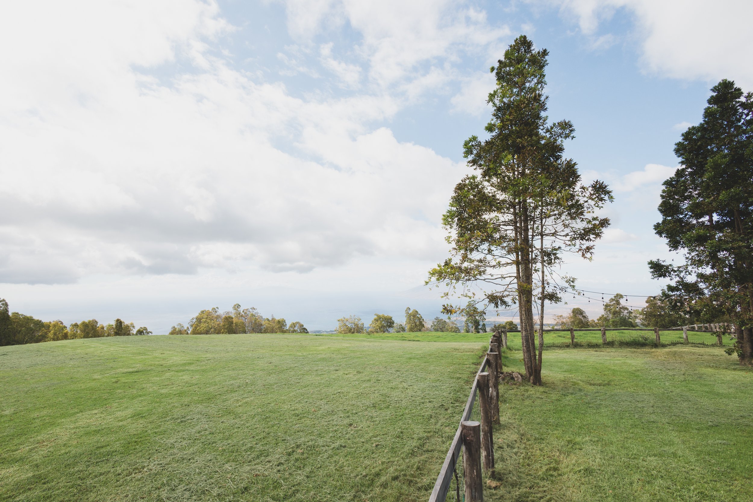 Ulupalakua Muirfield Mauka | Kristy Taylor Photography-23.jpg
