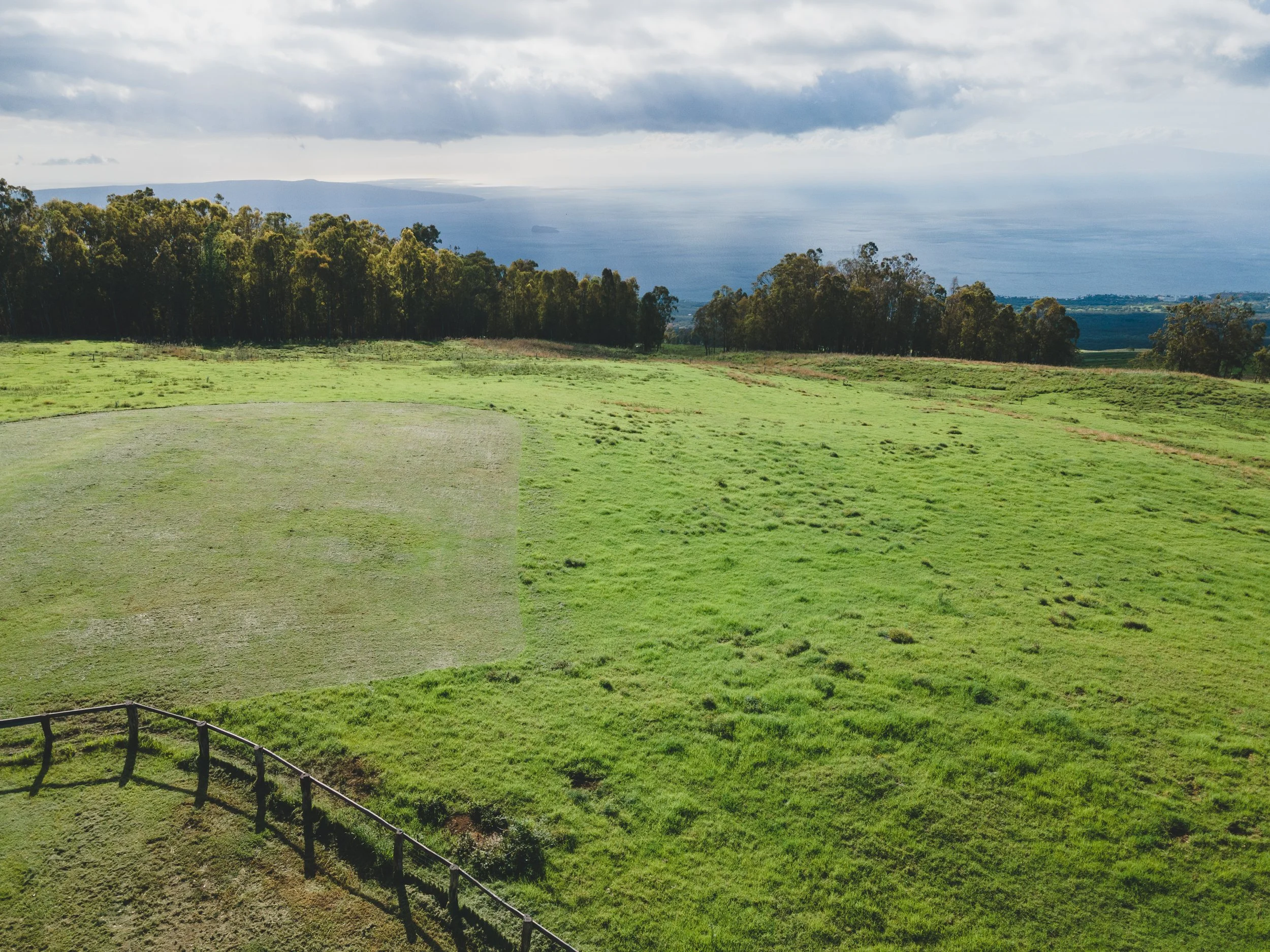 Ulupalakua Muirfield Mauka | Kristy Taylor Photography-25.jpg