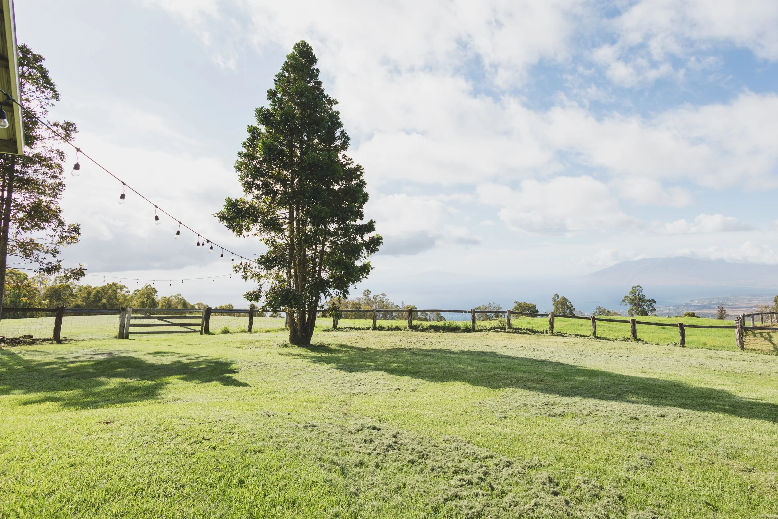 Ulupalakua Muirfield Mauka | Kristy Taylor Photography-24.jpg