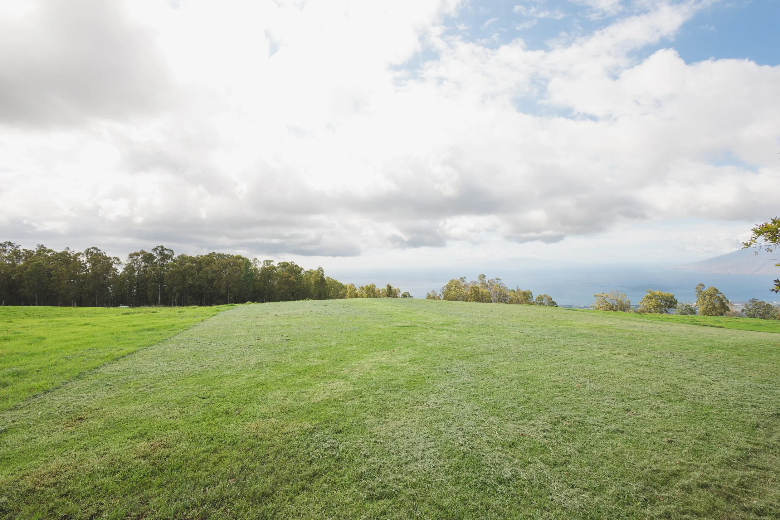 Ulupalakua Muirfield Mauka | Kristy Taylor Photography-26.jpg