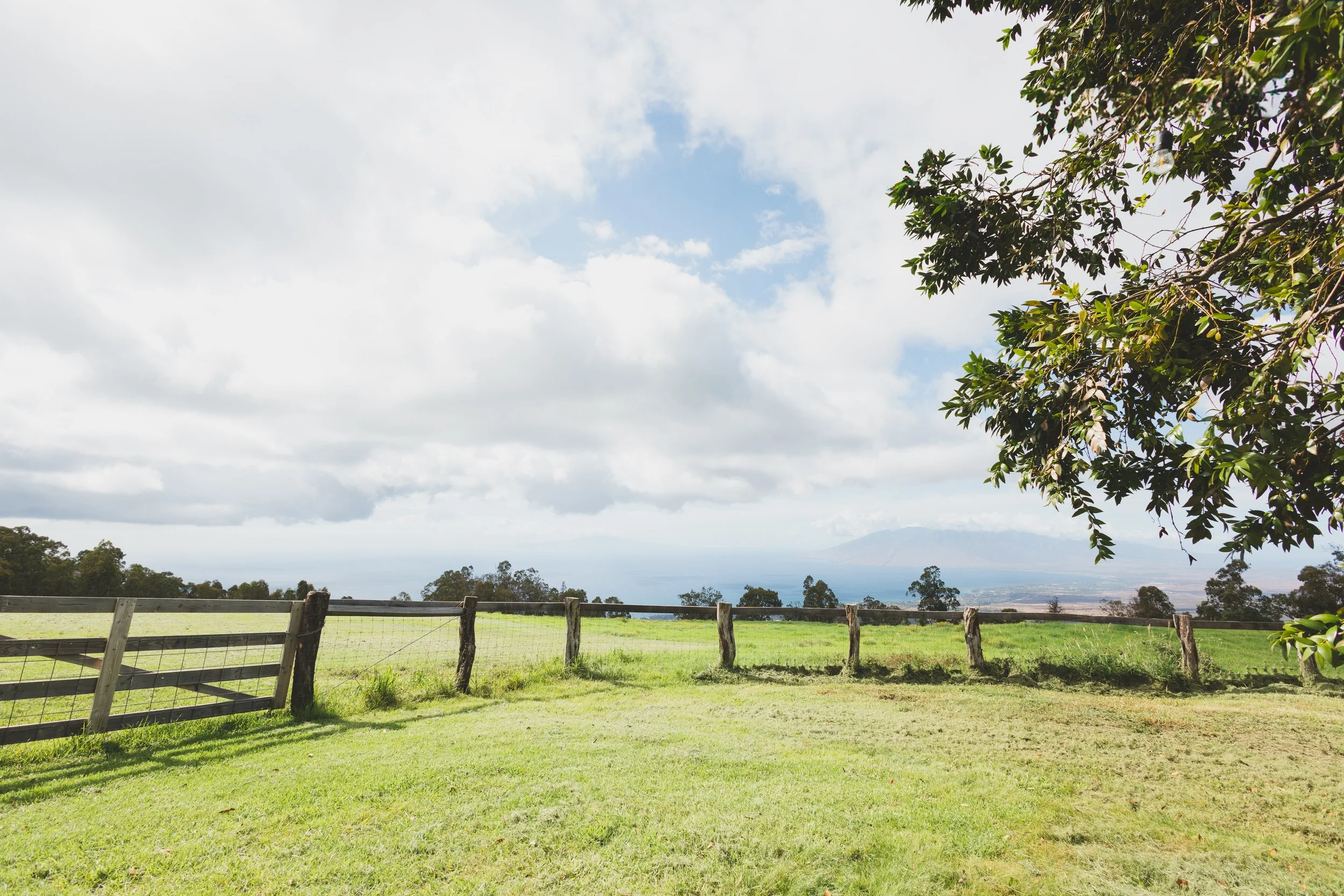 Ulupalakua Muirfield Mauka | Kristy Taylor Photography-28.jpg