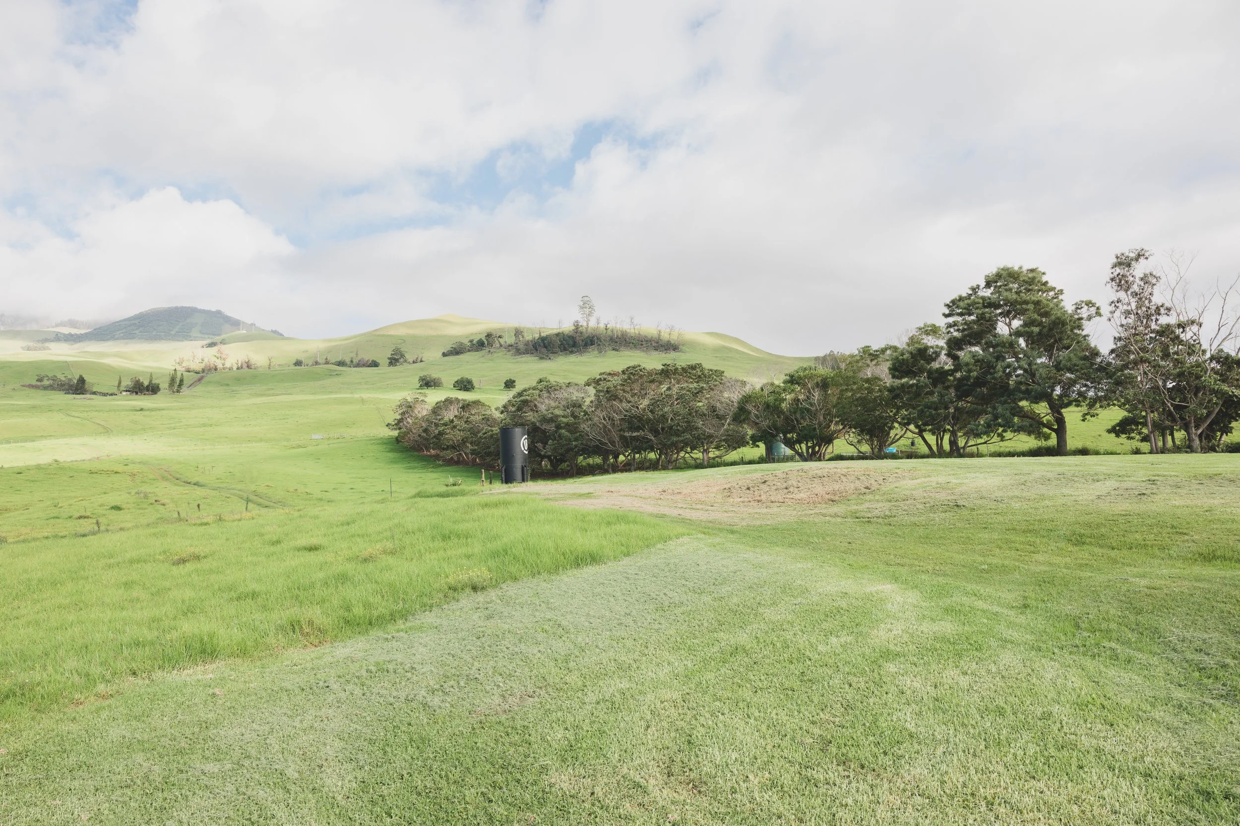 Ulupalakua Muirfield Mauka | Kristy Taylor Photography-35.jpg