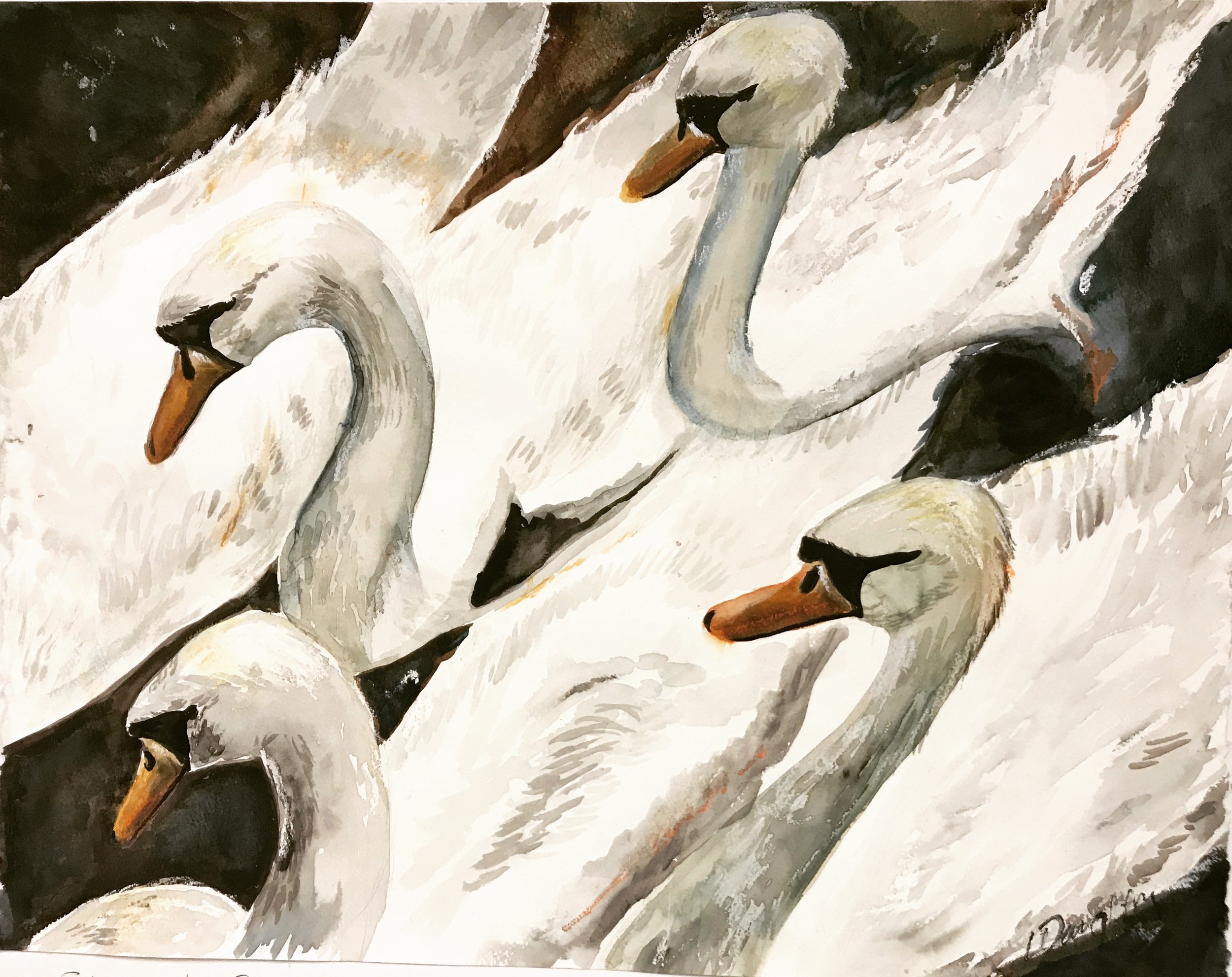 Shakespeare's Swans