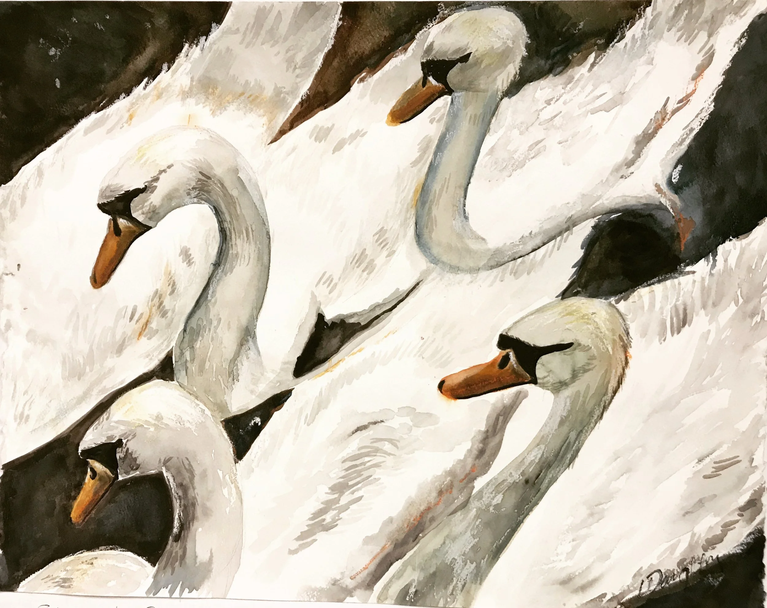Shakespeare's Swans