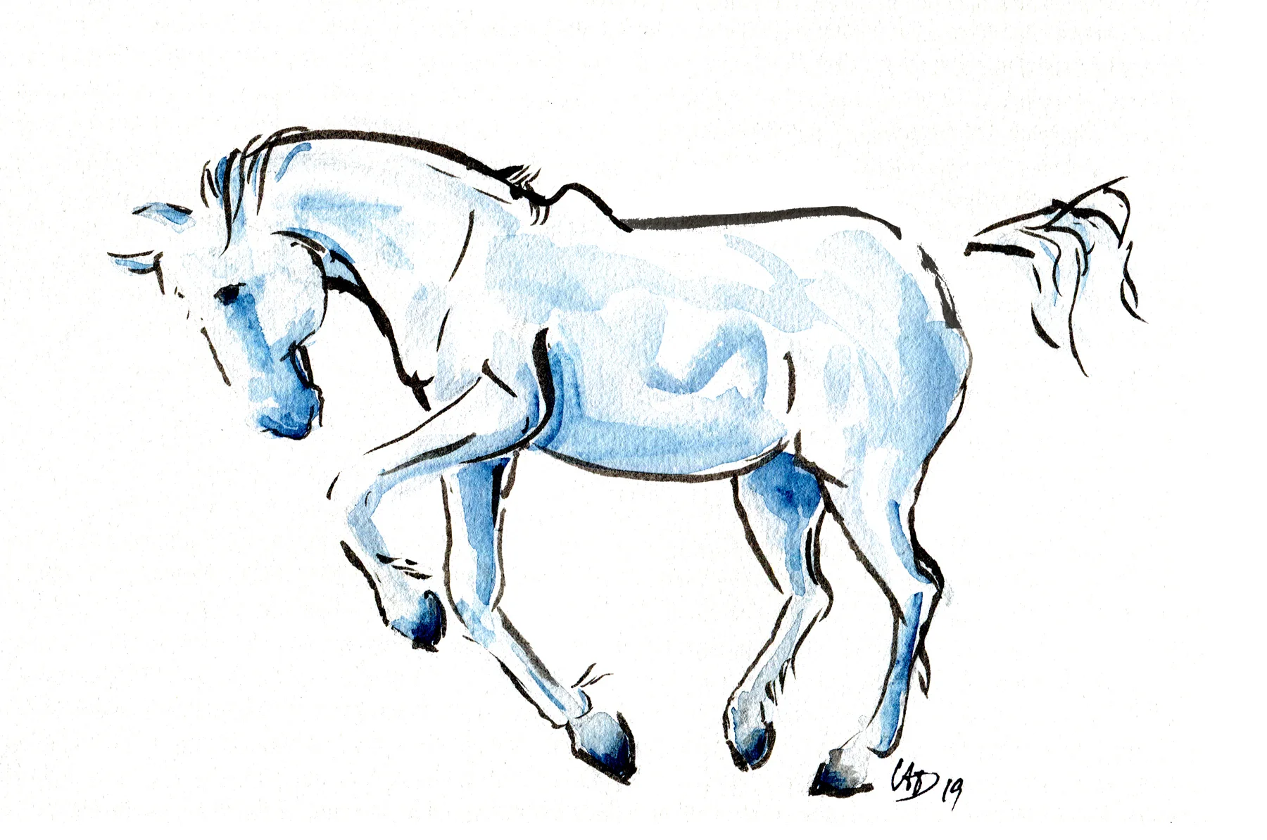 Blue Horse
