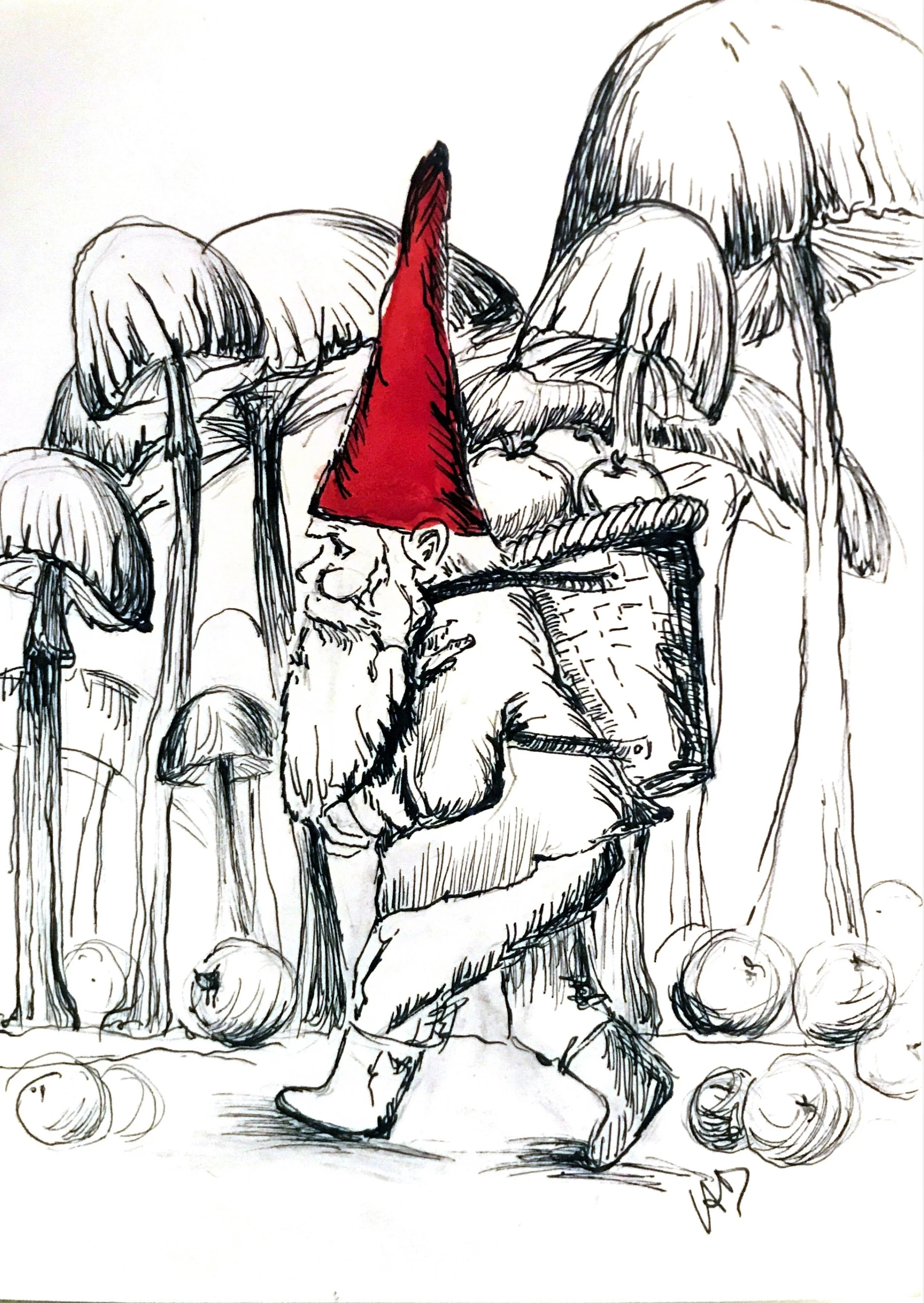 Forest Gnome