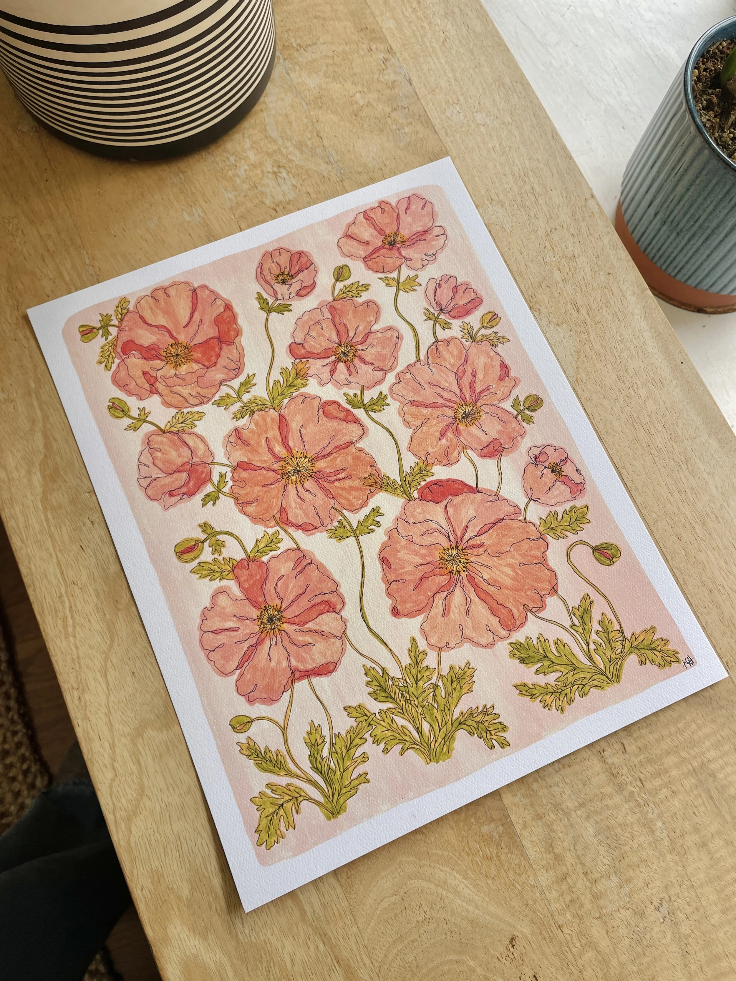 pink poppies full.jpg