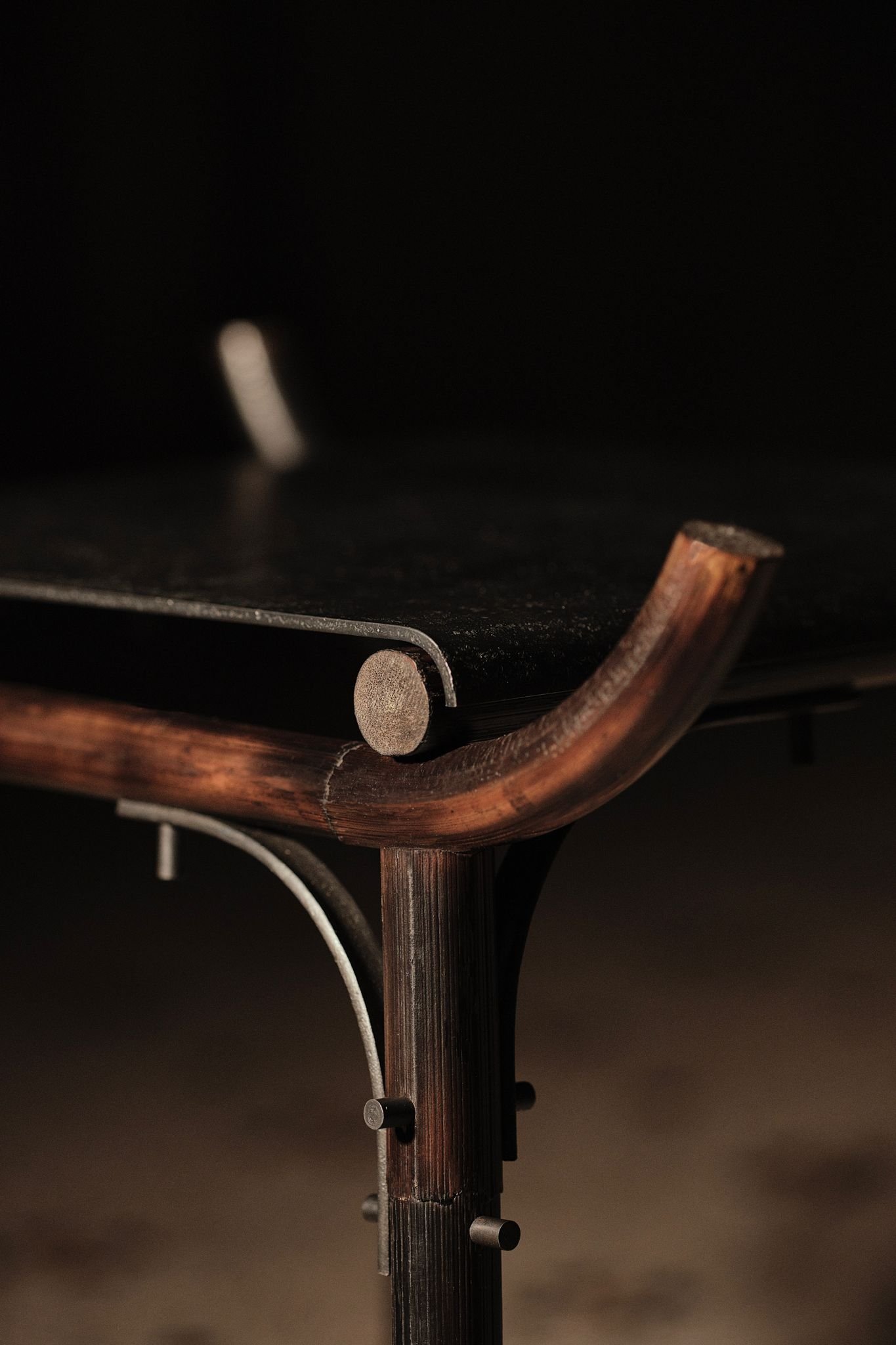 FRANÇOIS II _Camillo bernal_ Photographe Luc Bertrand_4.JPG