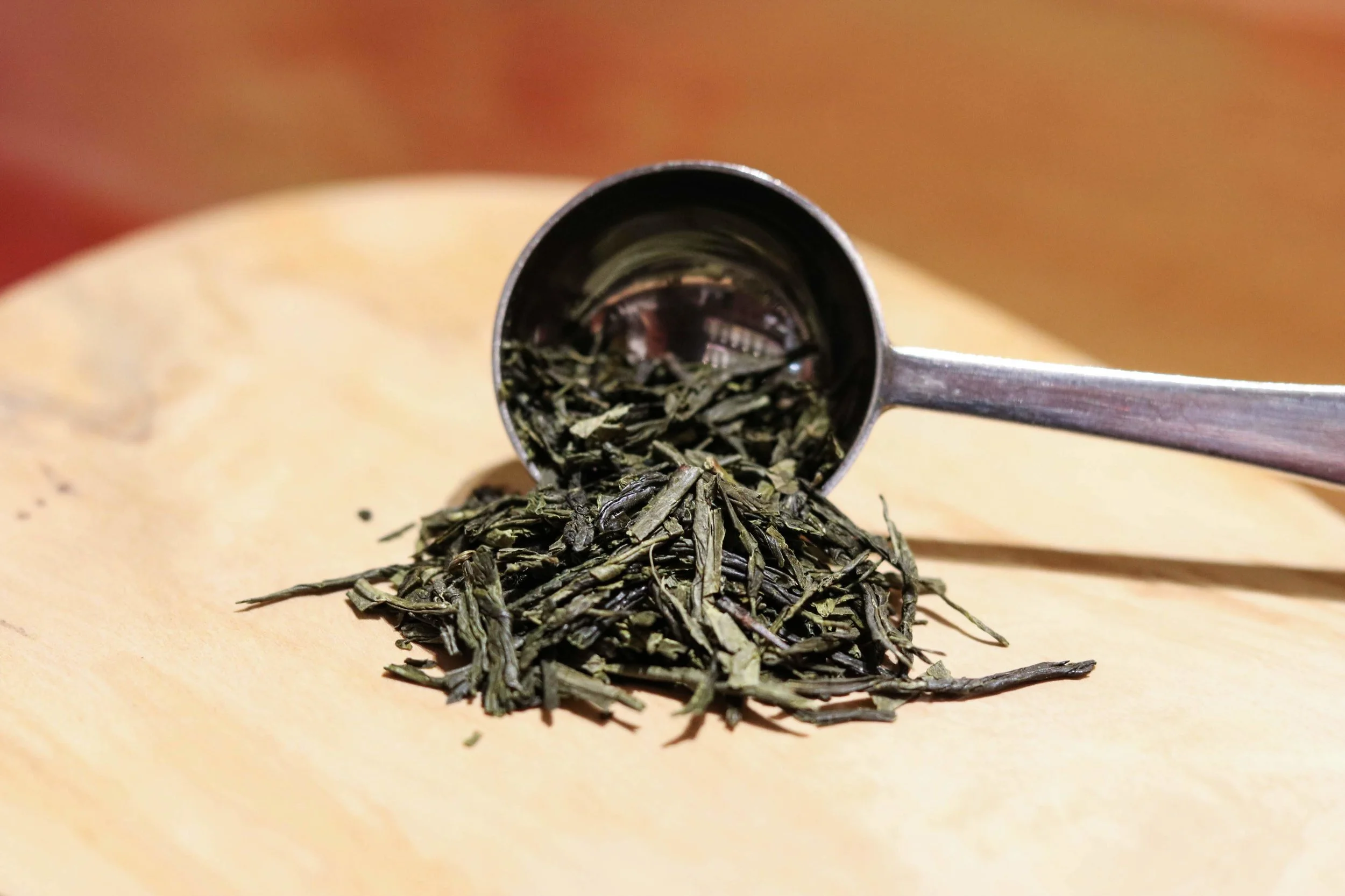 IMG_3196Sencha_tupelo.jpg