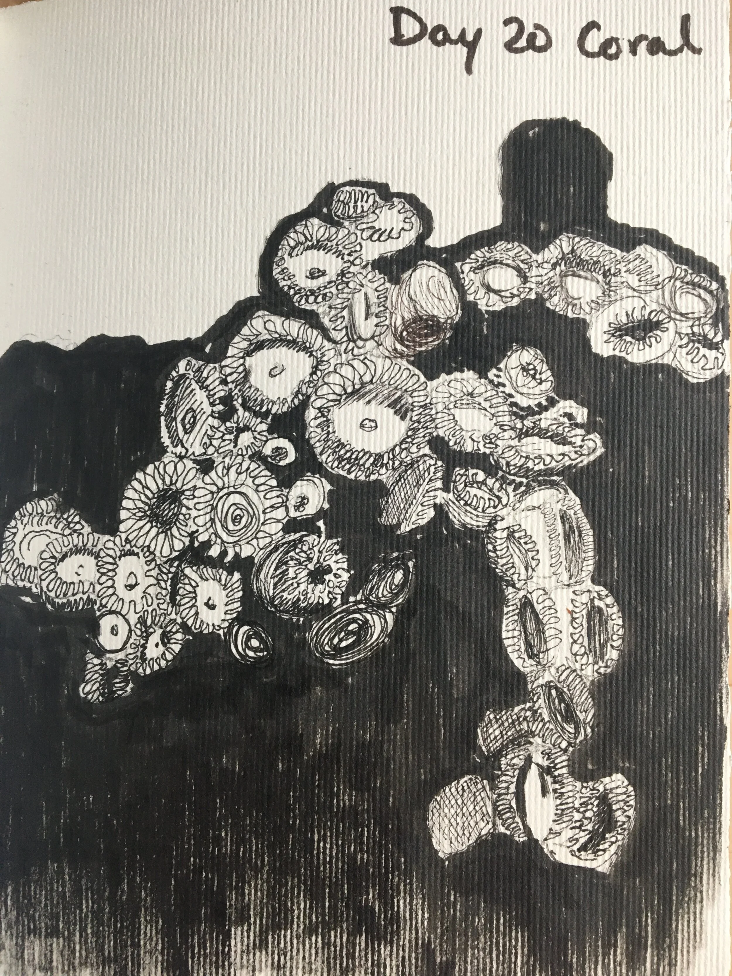 Day 20: Coral
