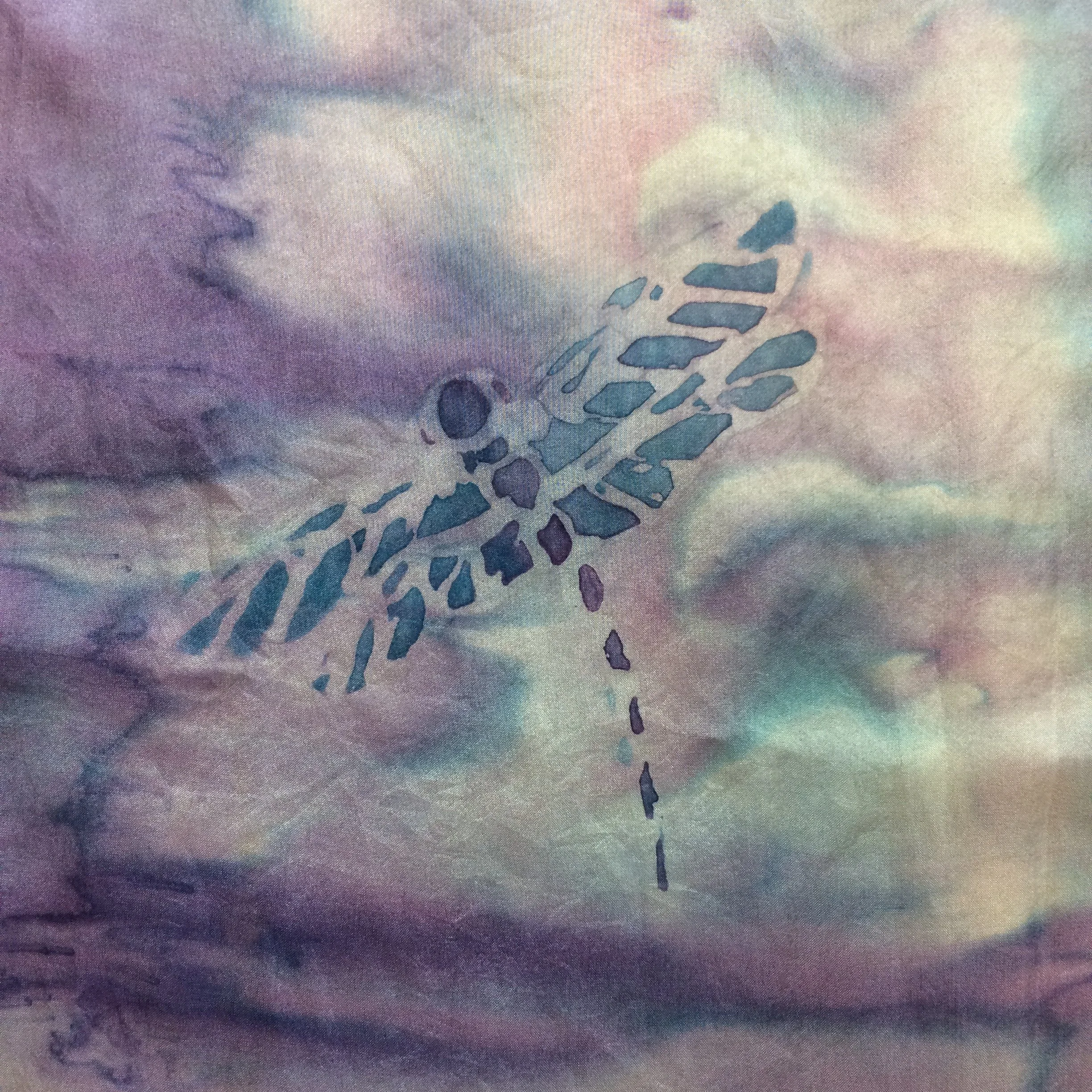 Close up Dragonfly