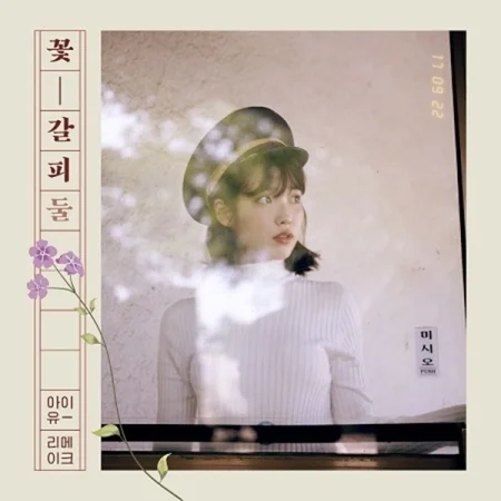 IU — Dumber Studios