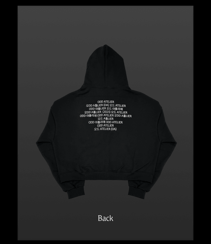 Official preorder 2025 Jennie OA [ZEN SERIF] Merch — Dumber Studios