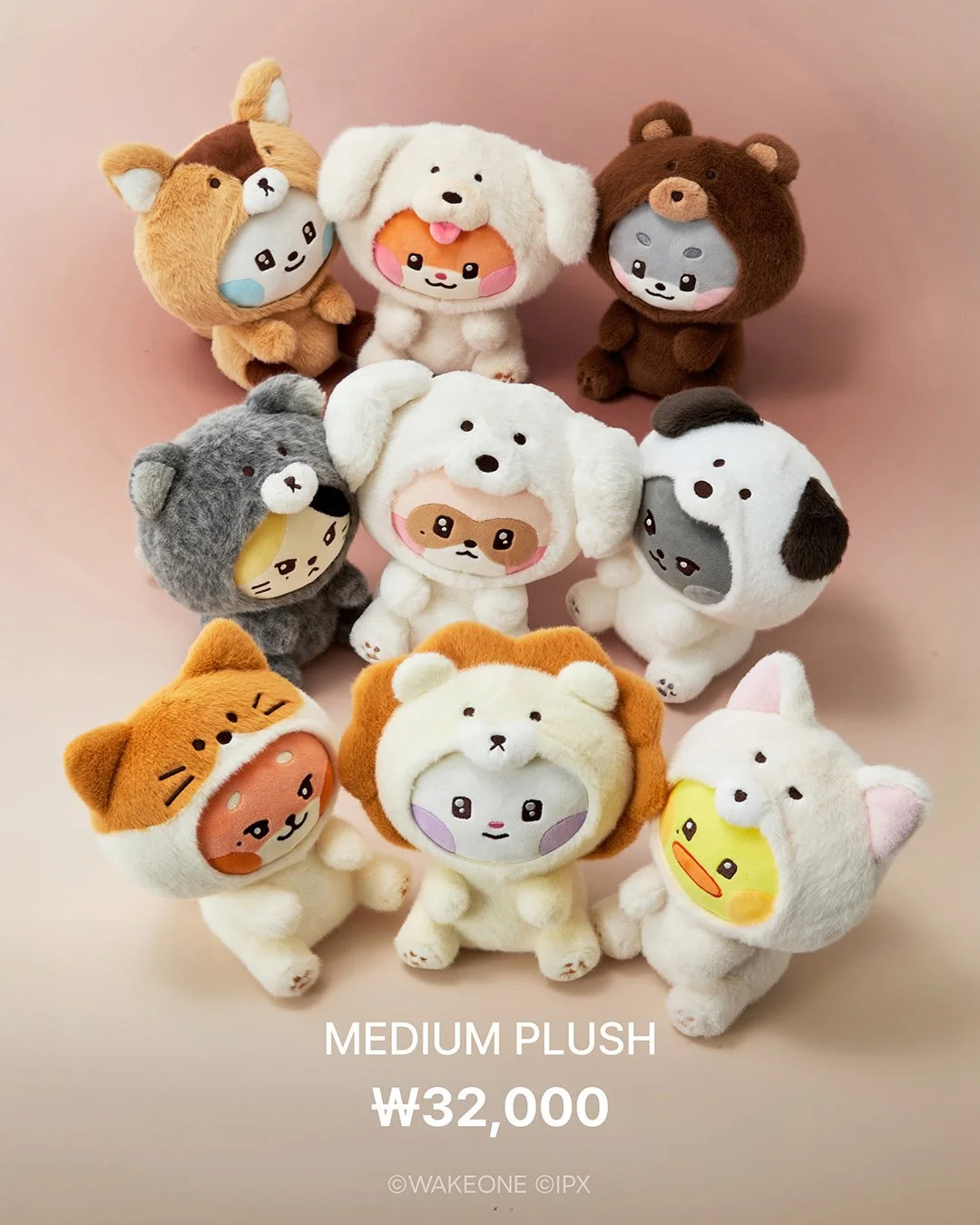 Official md preorder ZEROBASEONE zeroni FLUFFY Wonderland Pop-up